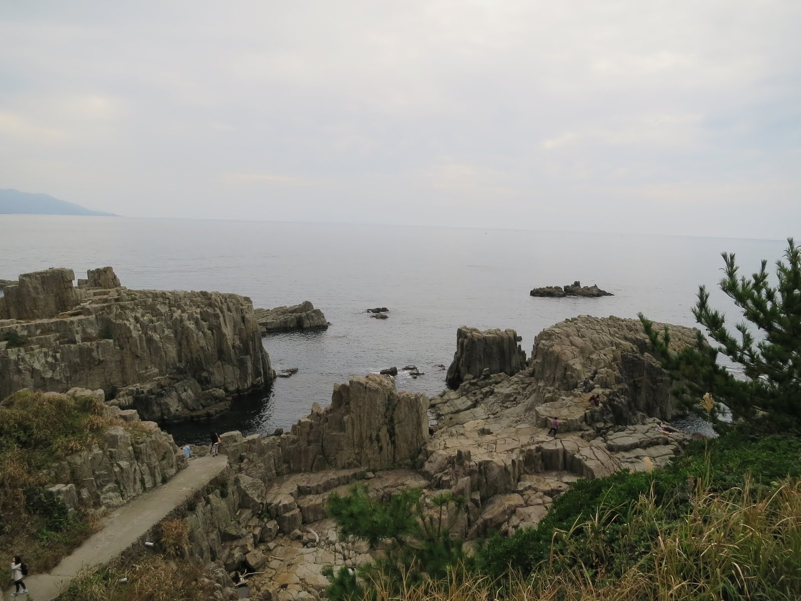 70cae-img_4010