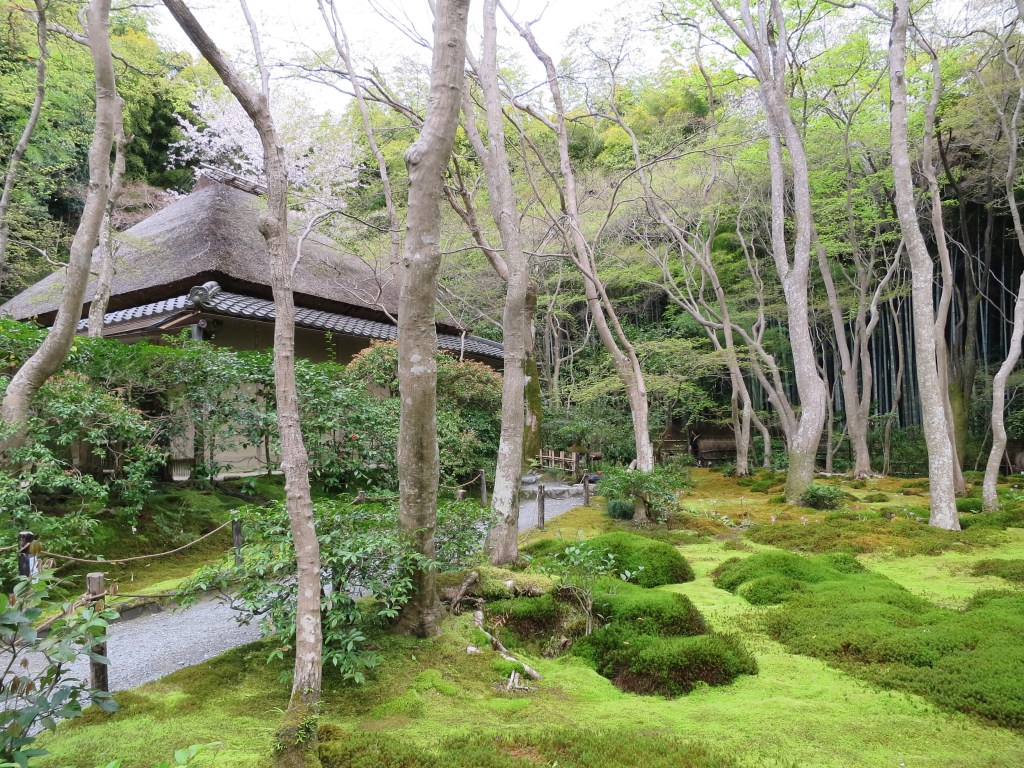 Moss Garden at Gioji,&nbsp;Kyoto