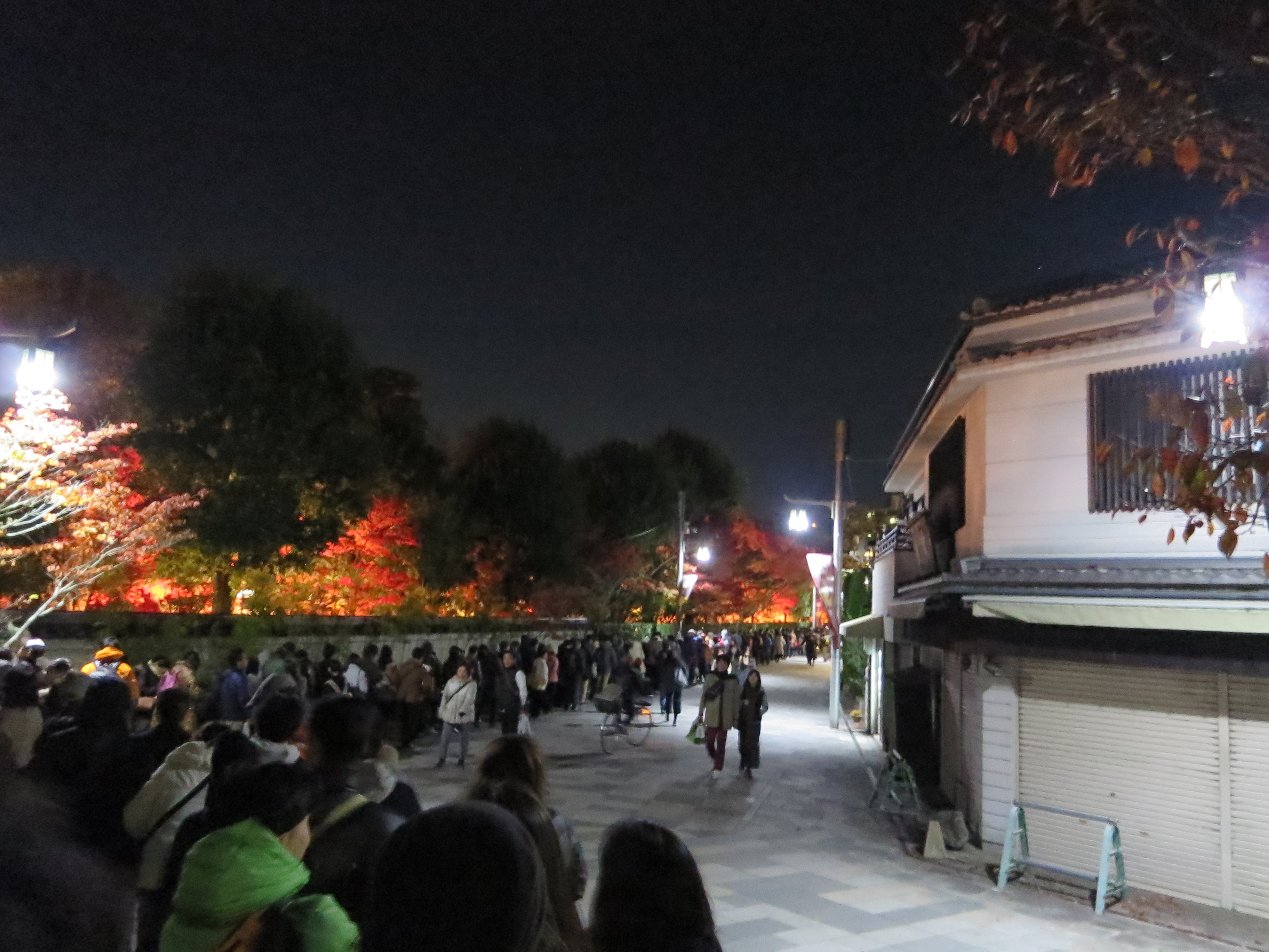 CIG_IMG115 (3)