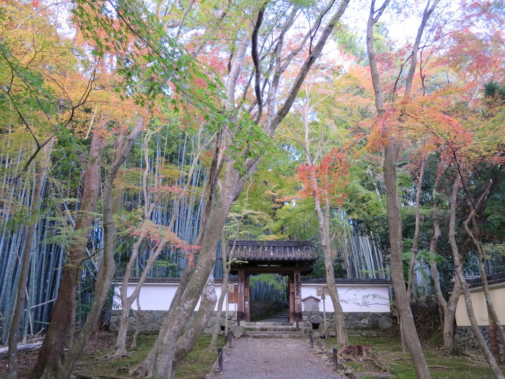 Bamboo Temple of Jizō-in, Arashiyama,&nbsp;Kyoto