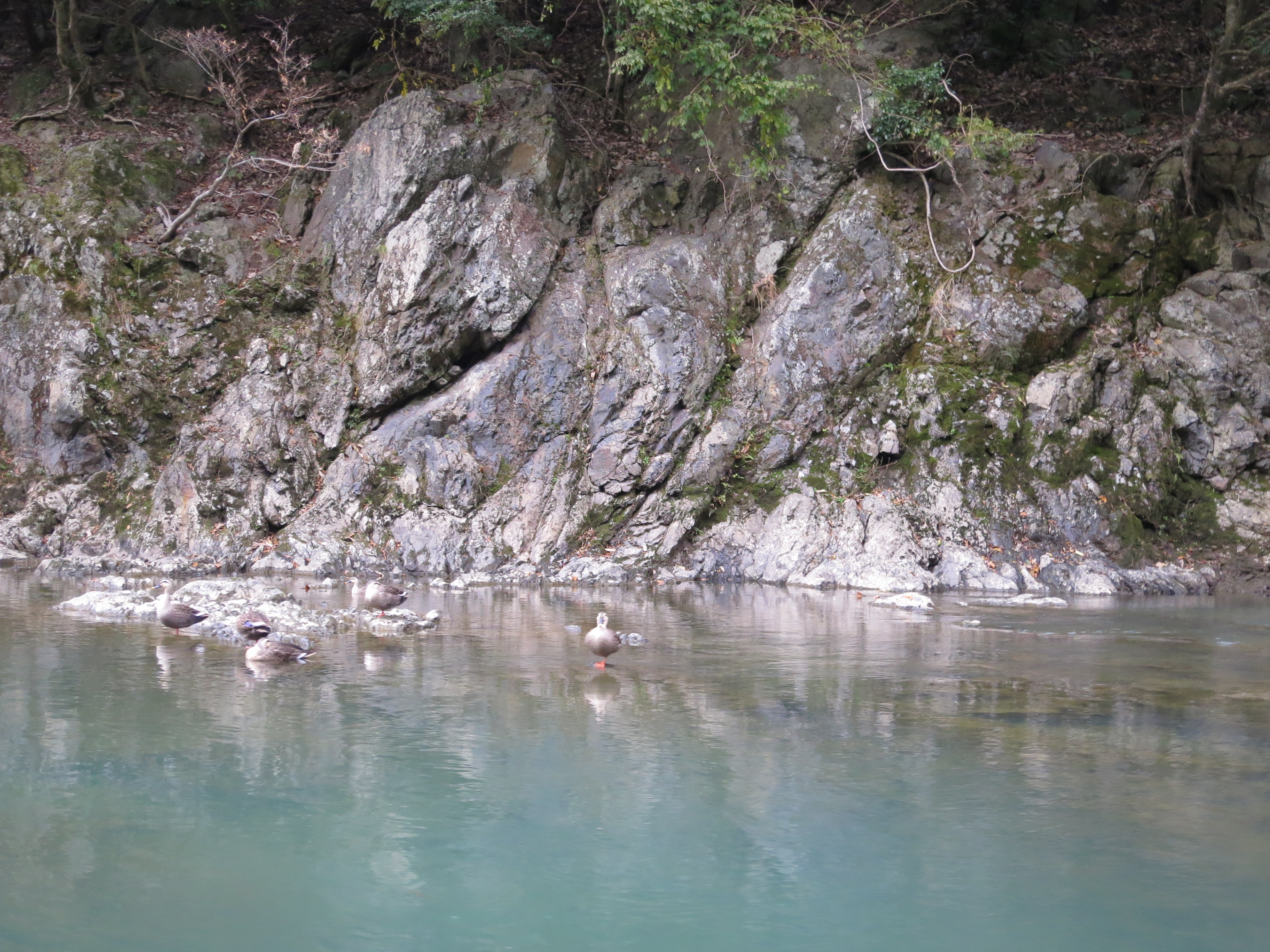 CIG_IMG184