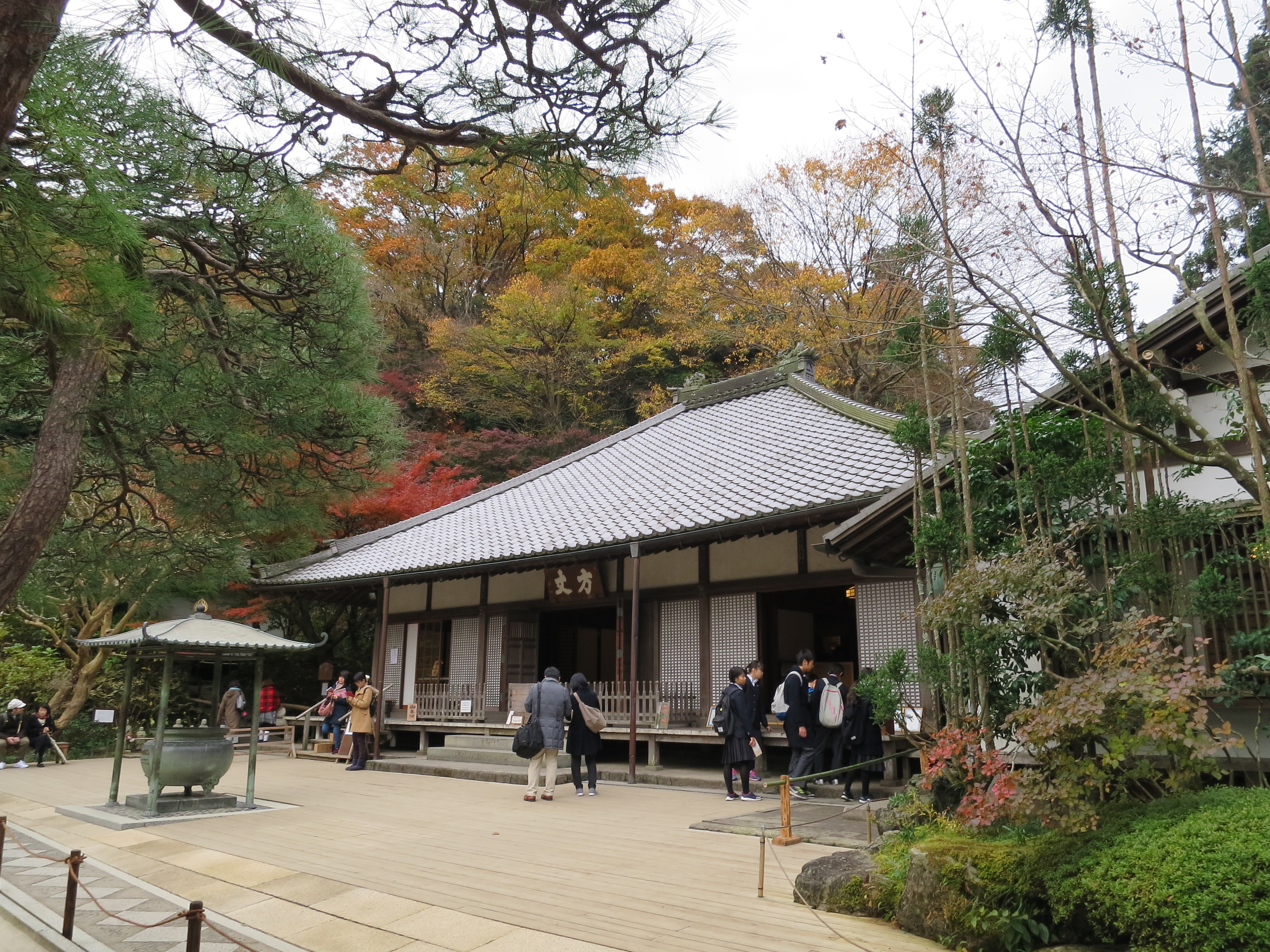 IMG_0369