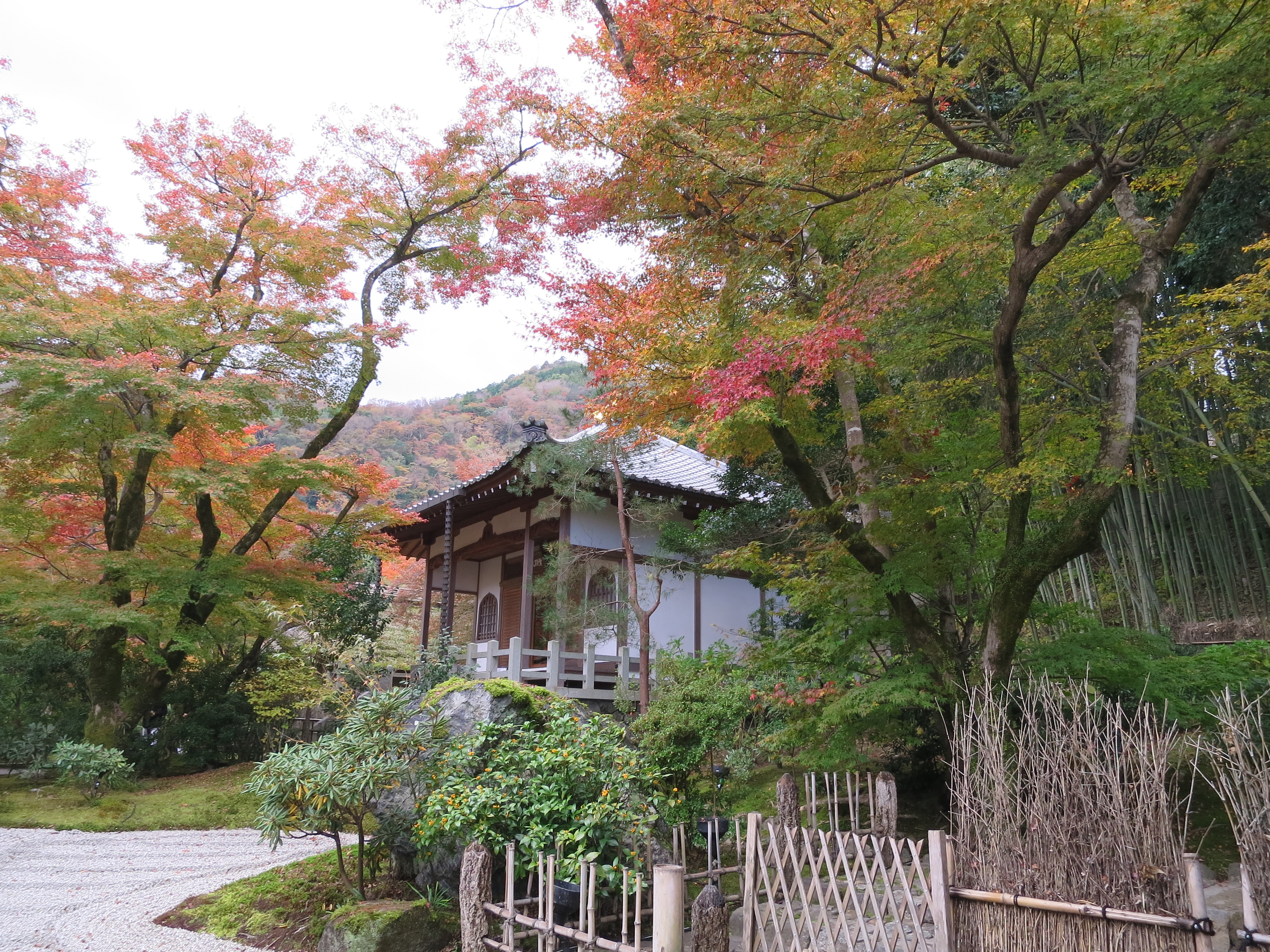 CIG_IMG075 (2)