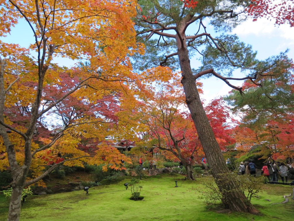 Autumn Splendor at Lion’s Roar Garden of Hogon-in,&nbsp;Arashiyama