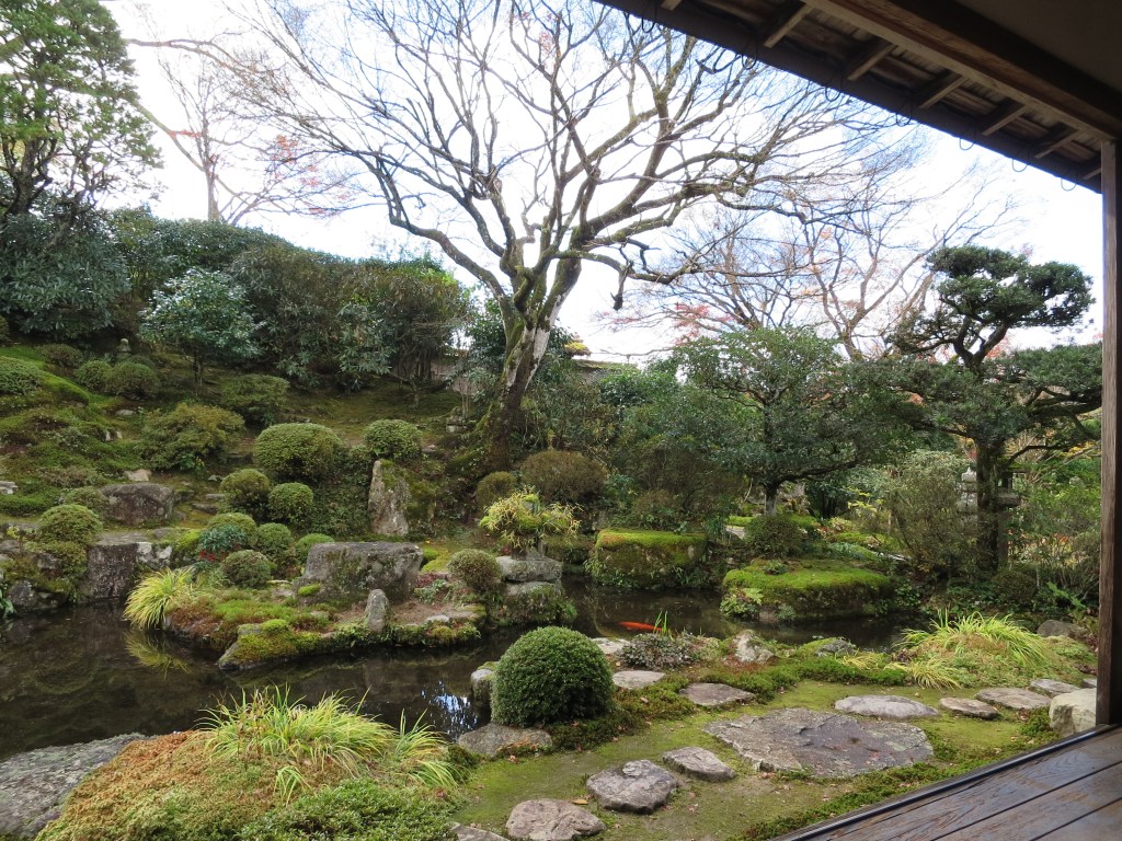 Garden viewing and stroll at Jikko-in, Ohara,&nbsp;Kyoto