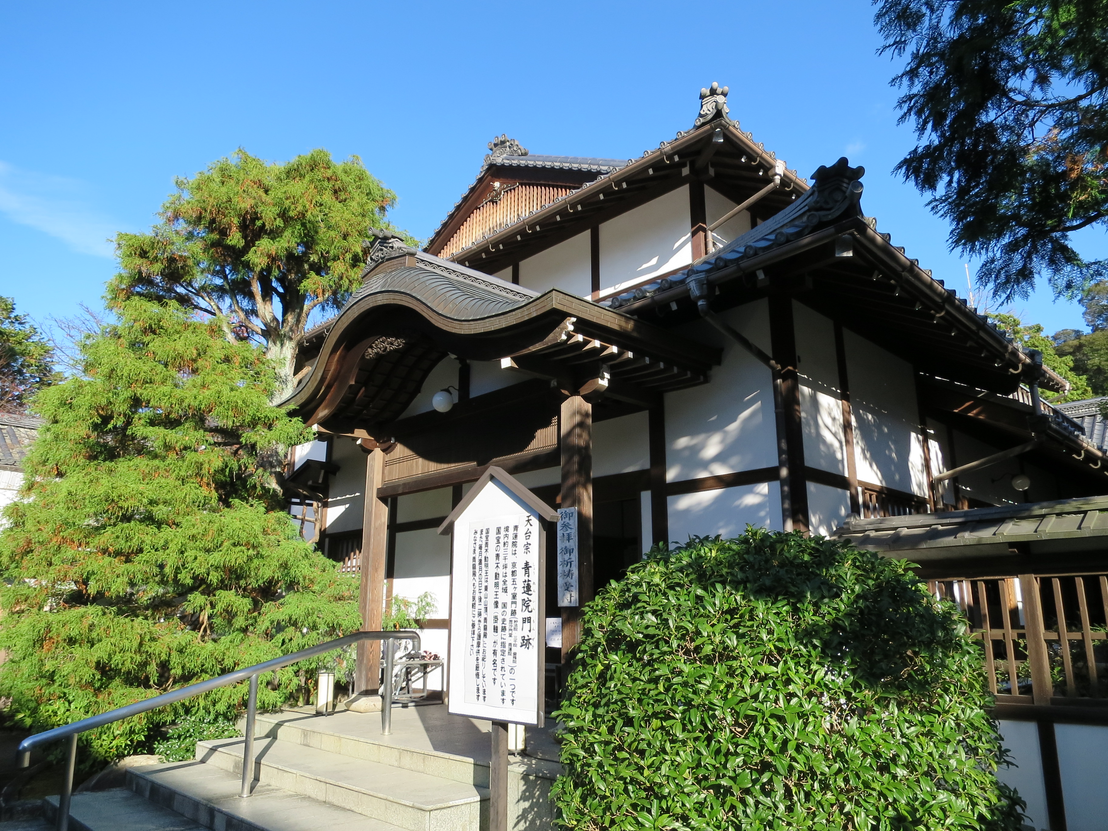 CIG_IMG020 (5)