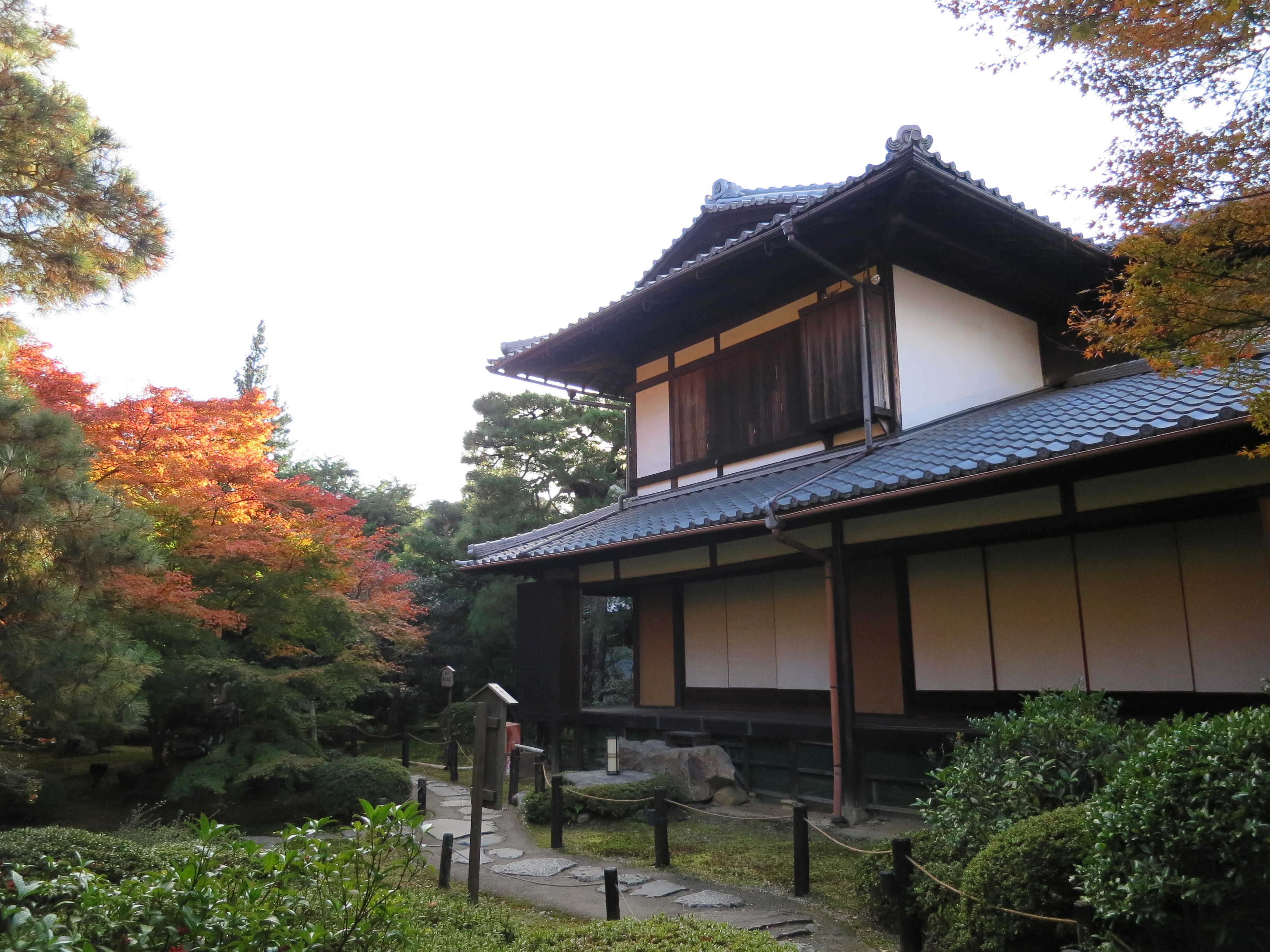 CIG_IMG082 (3)