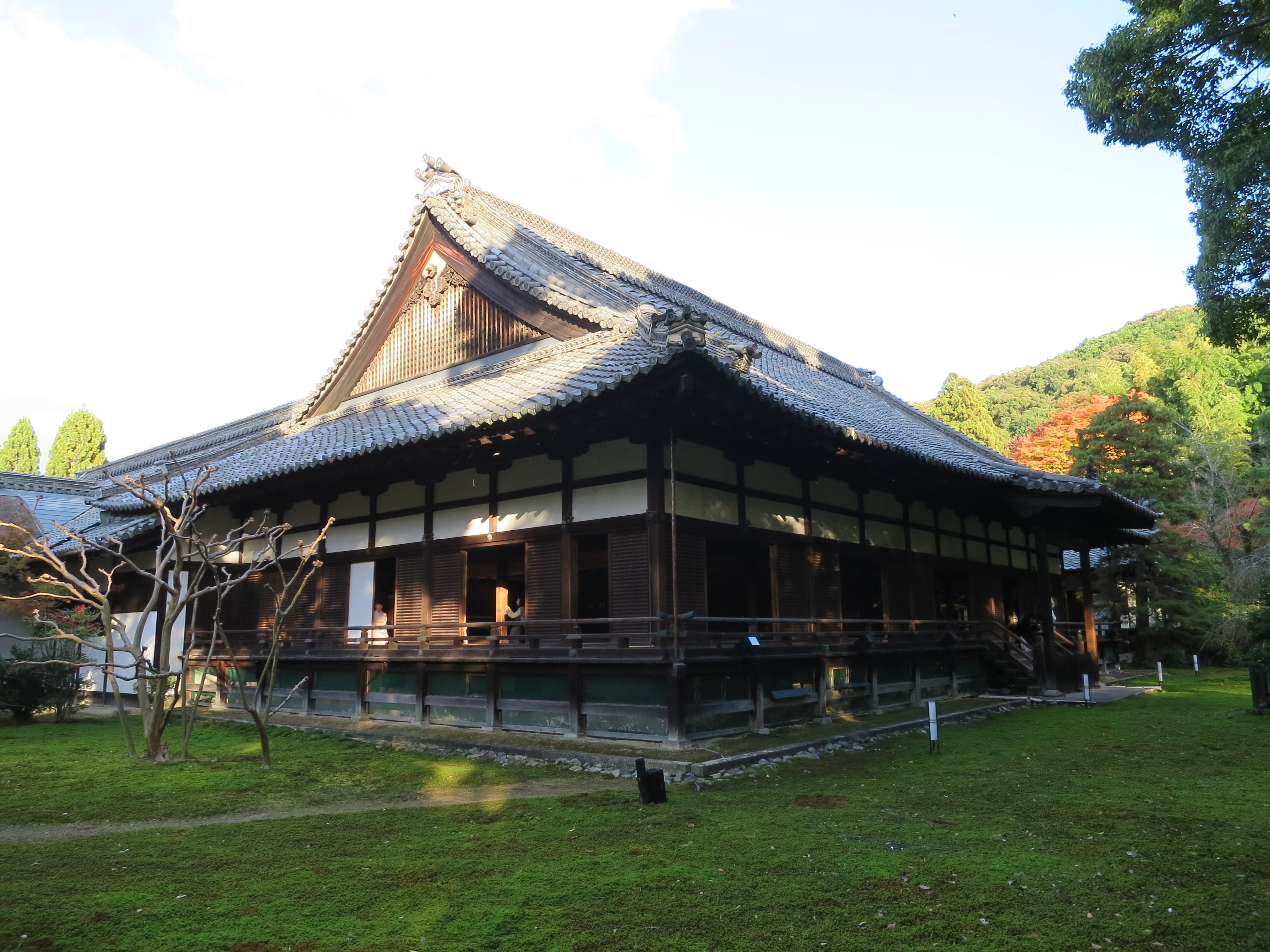 CIG_IMG101 (3)