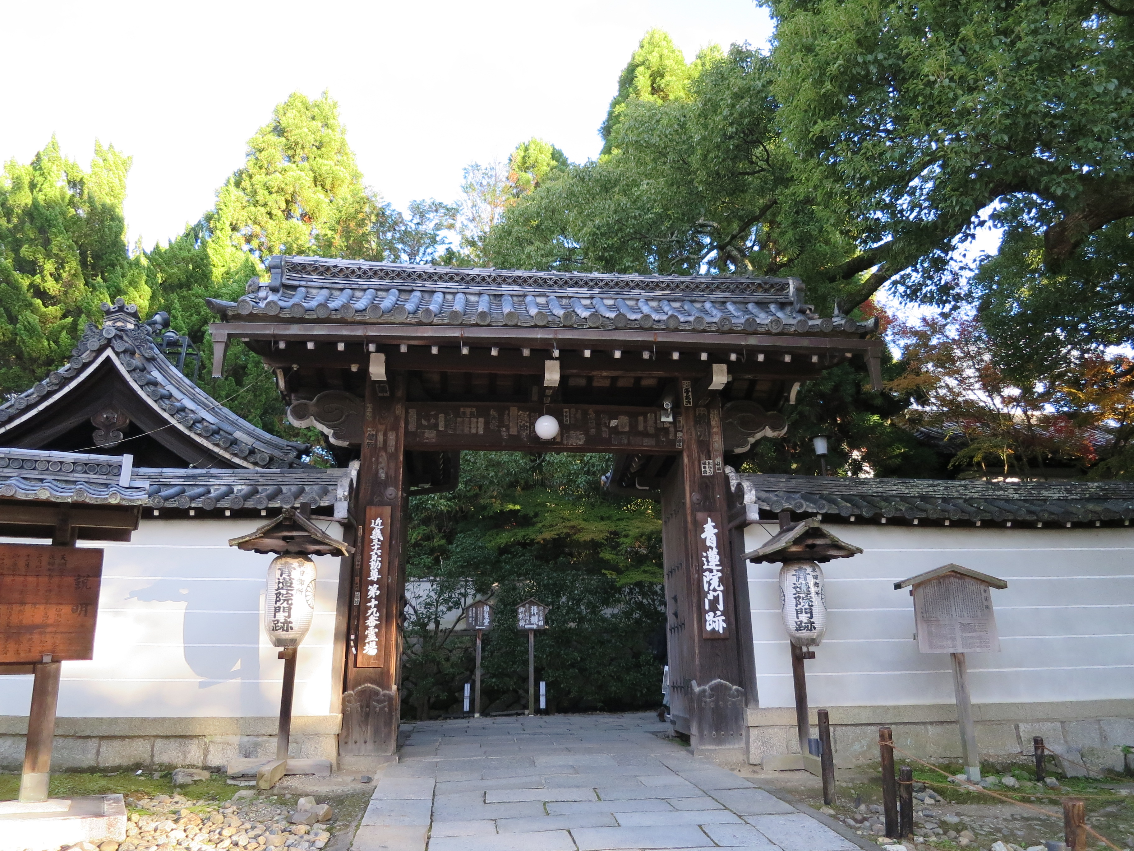 CIG_IMG110 (3)