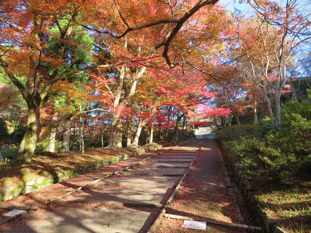 Crimson Red Autumn Leaves at Bishamondo&nbsp;Temple