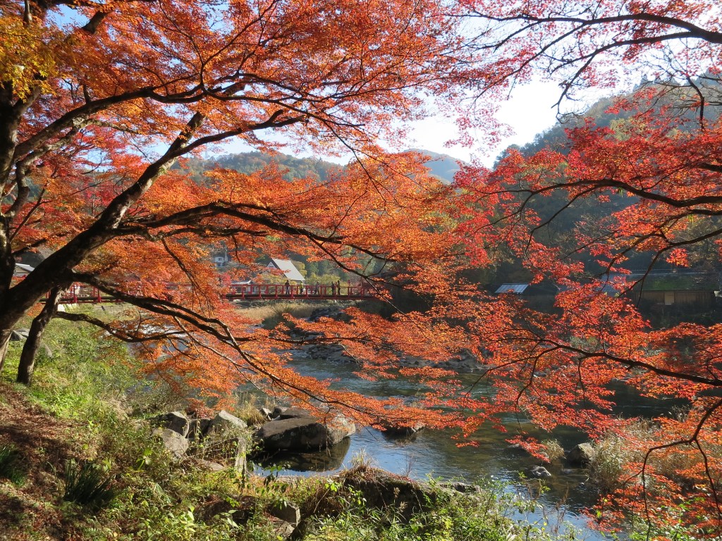 Chubu’s Region Hot Autumn Spot: Korankei&nbsp;Valley