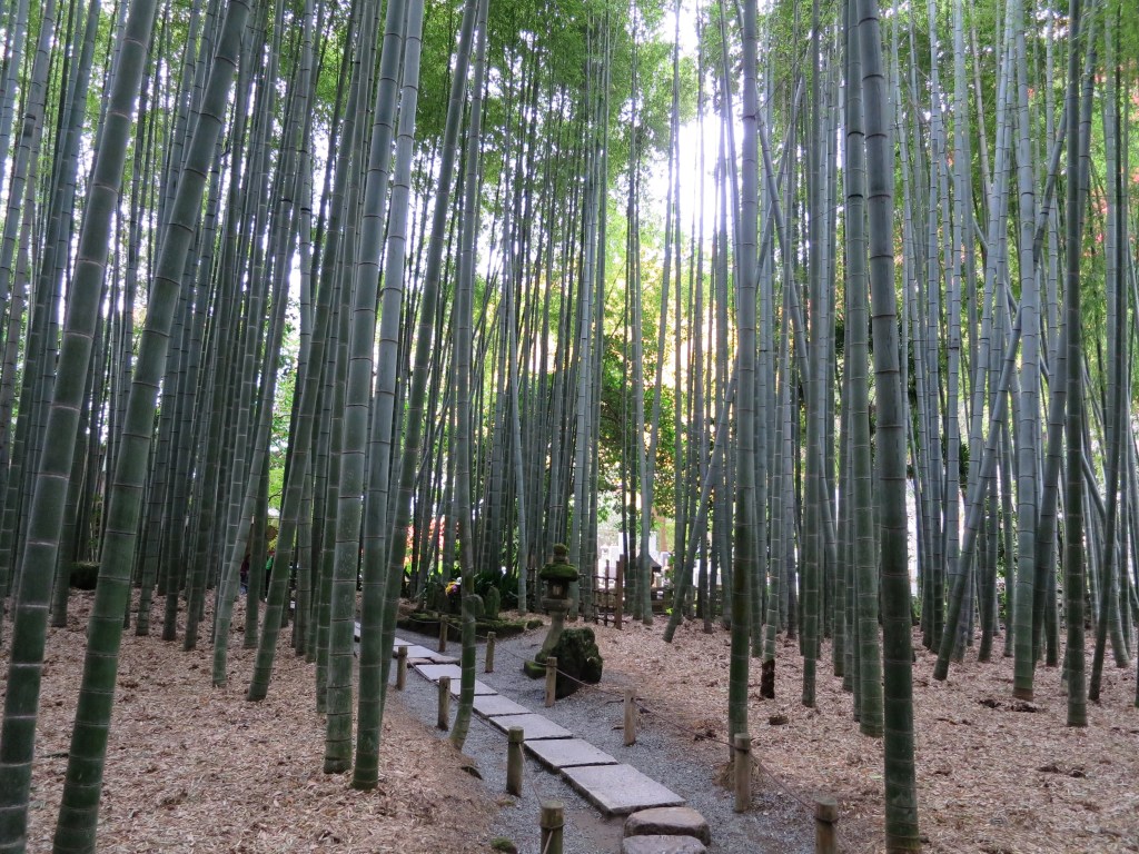 Kamakura’s Bamboo Temple –&nbsp;Hokokuji