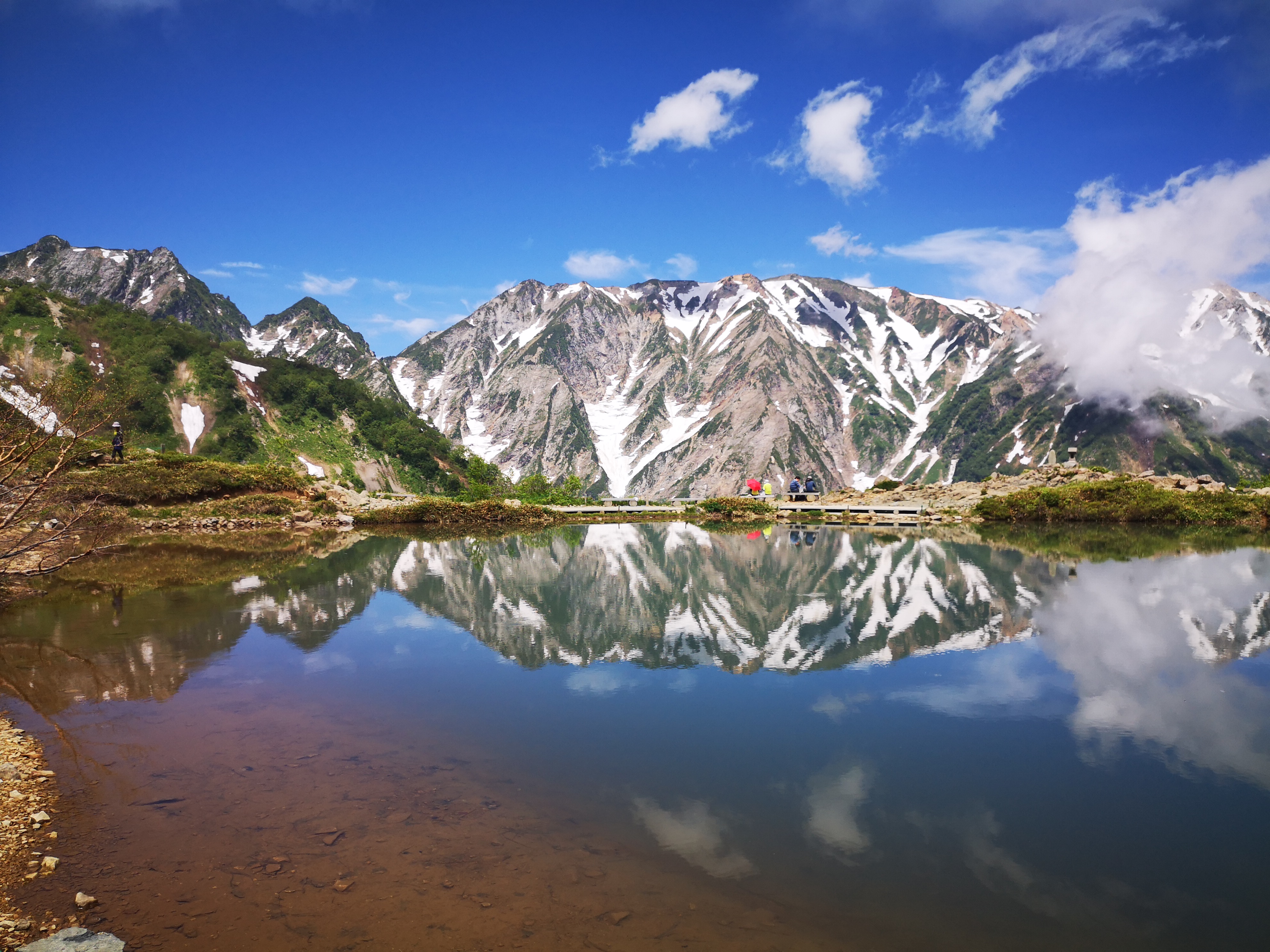 限定100本　オガサカ OGASAKA Hakuba Happoone 限定100本 オガサカ OGASAKA Hakuba Happoone｜Yahoo!フリマ（旧PayPay