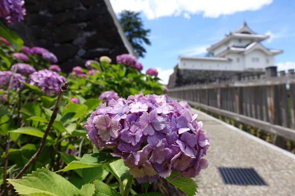 Maizuru Castle Park and Kofu Castle&nbsp;Ruins