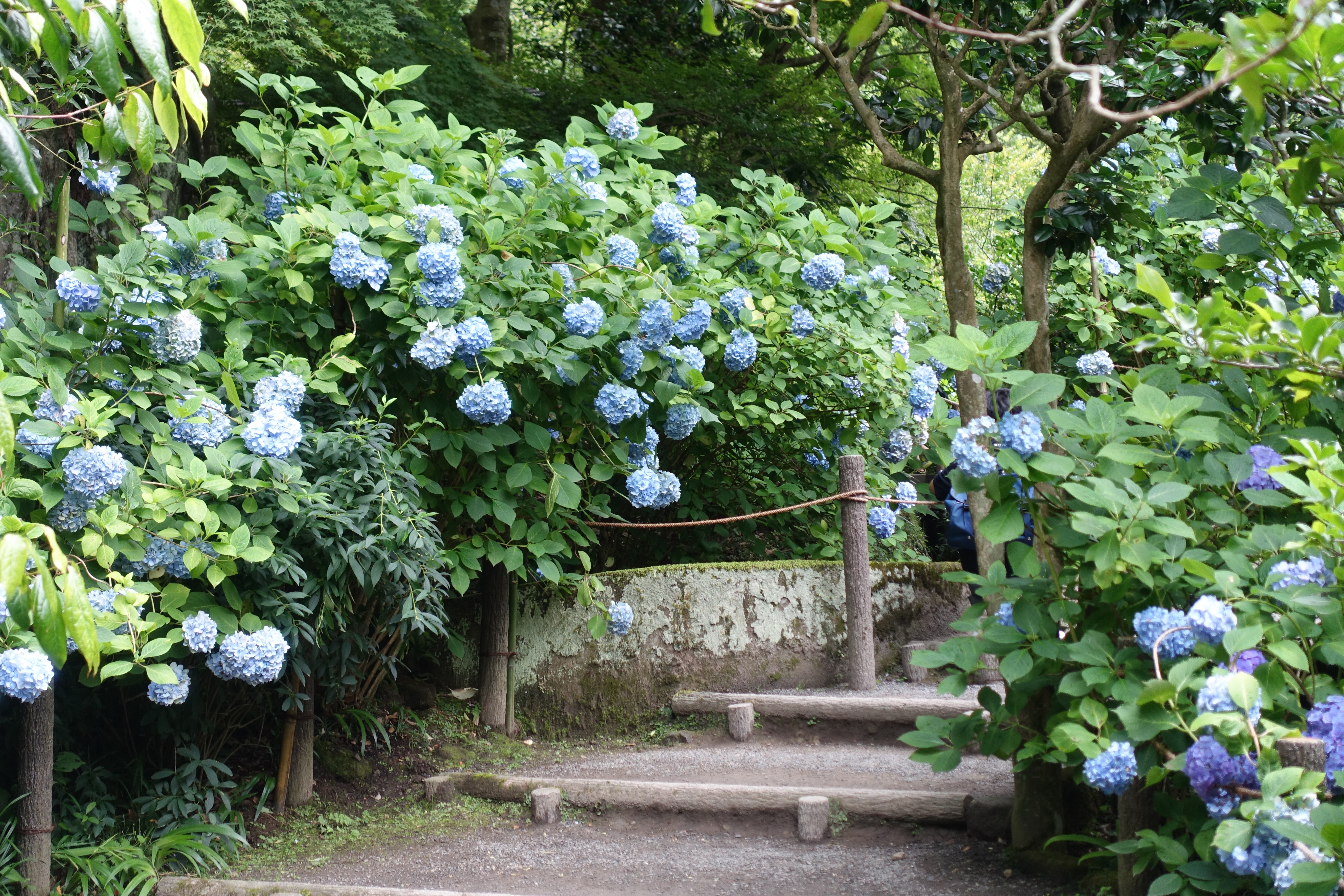 DSC00808