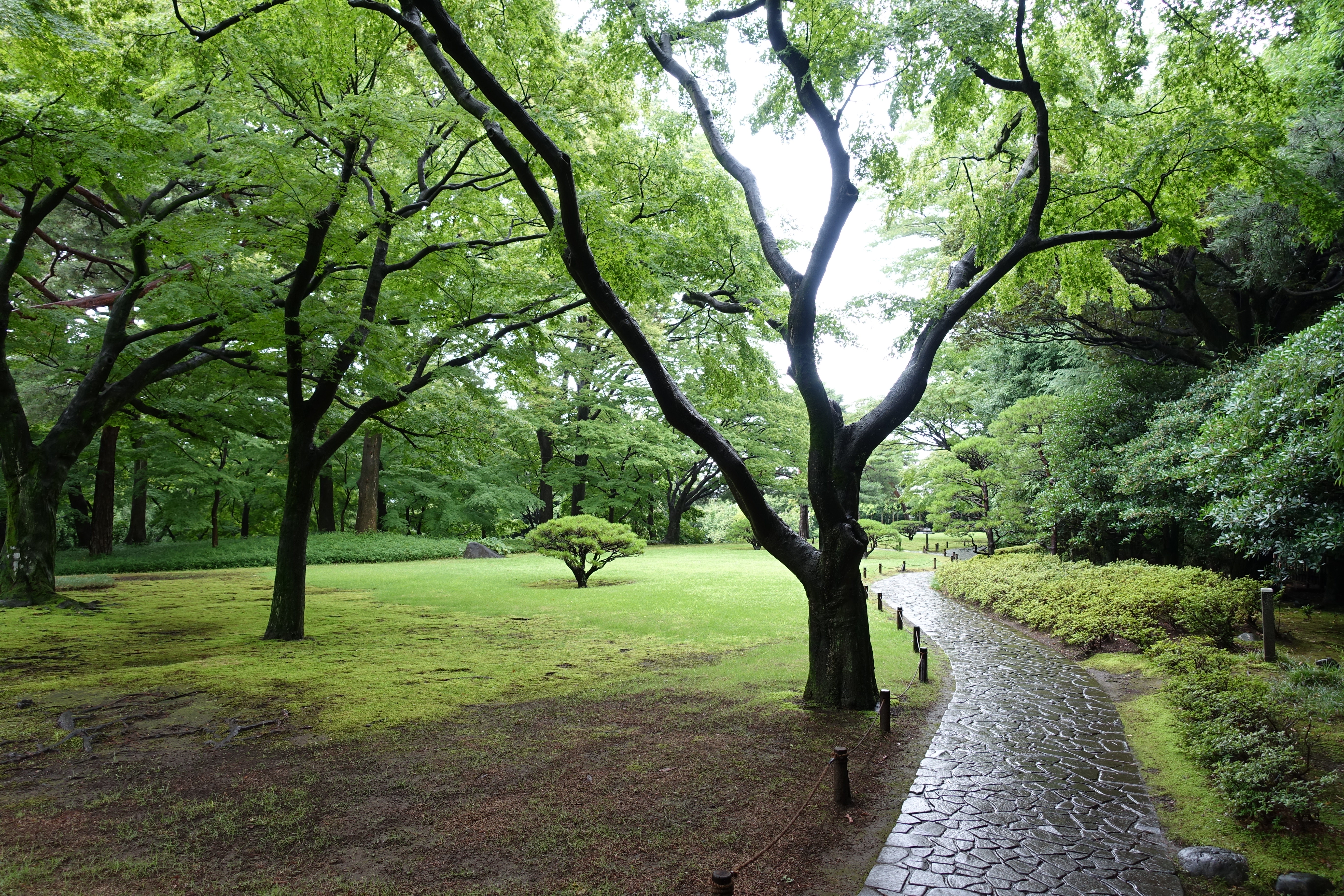 DSC02044