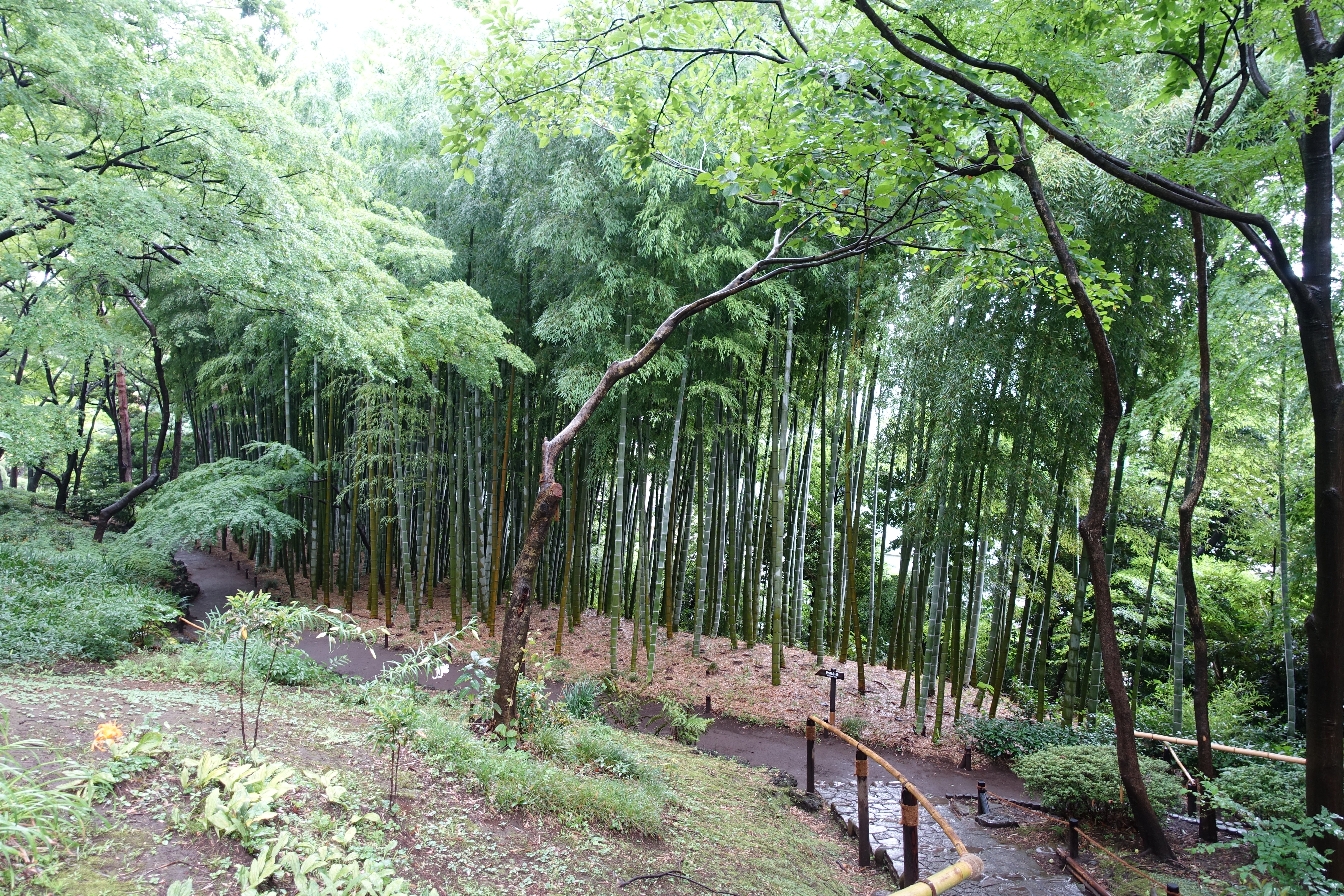 DSC02062