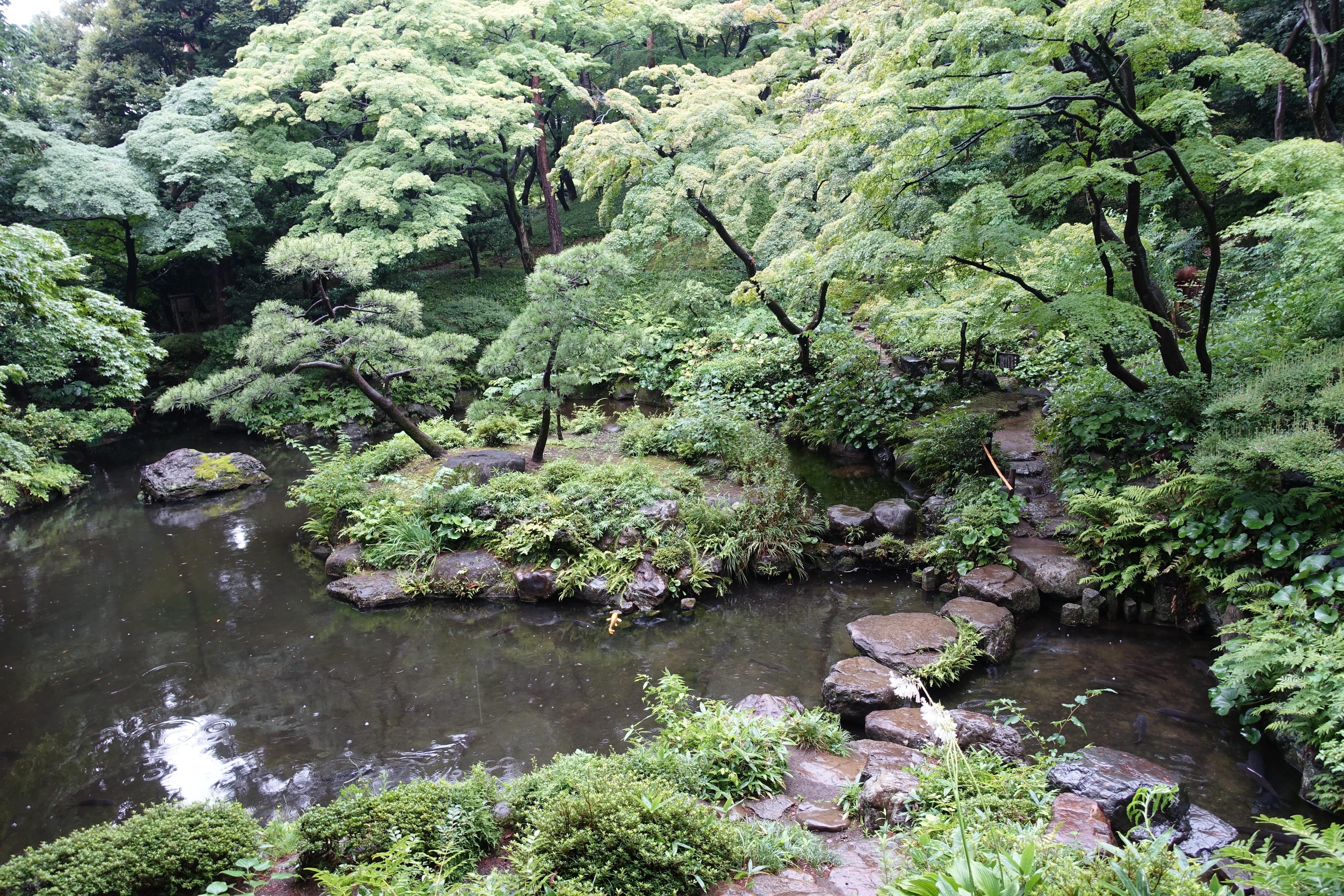 DSC02101