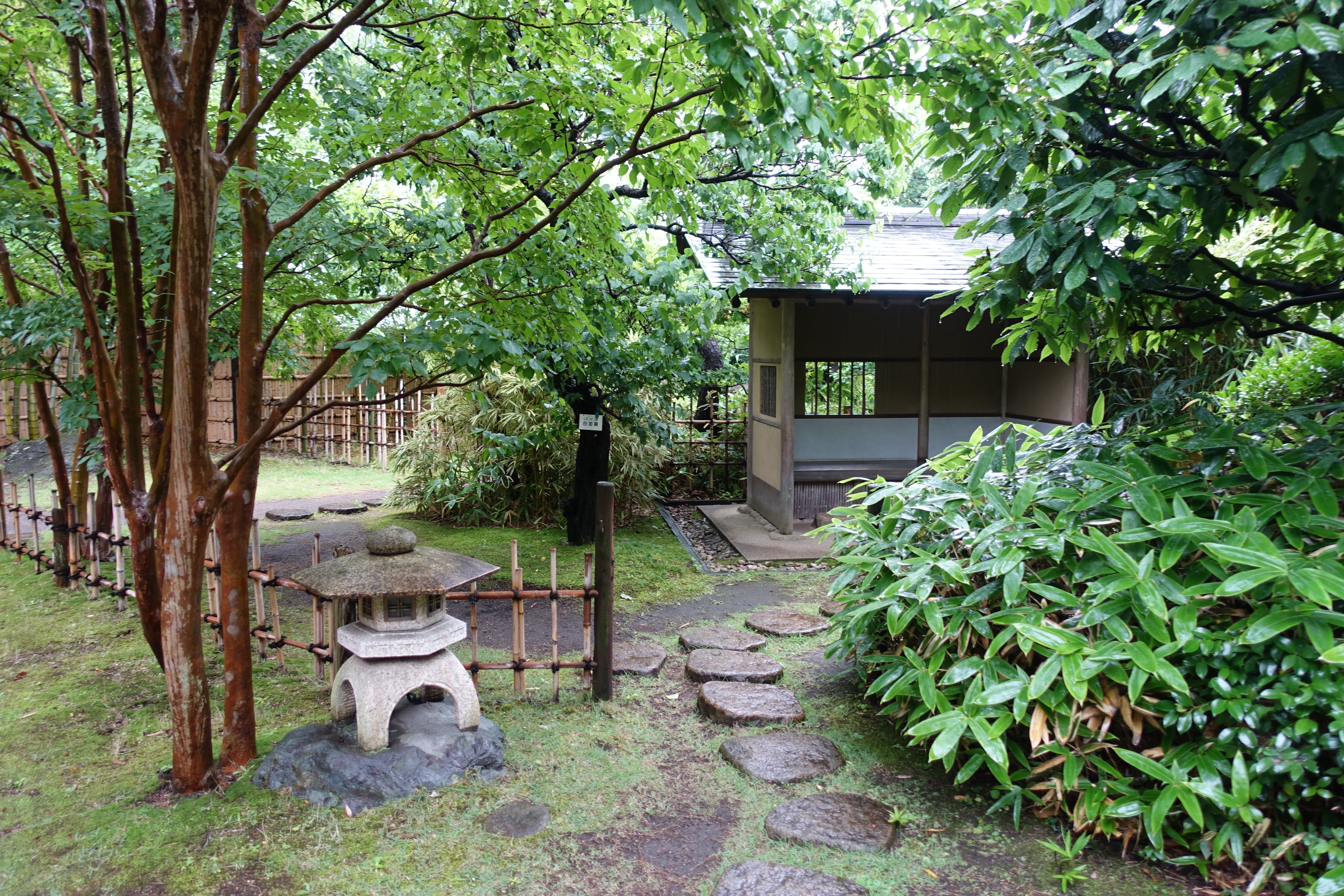 DSC02160