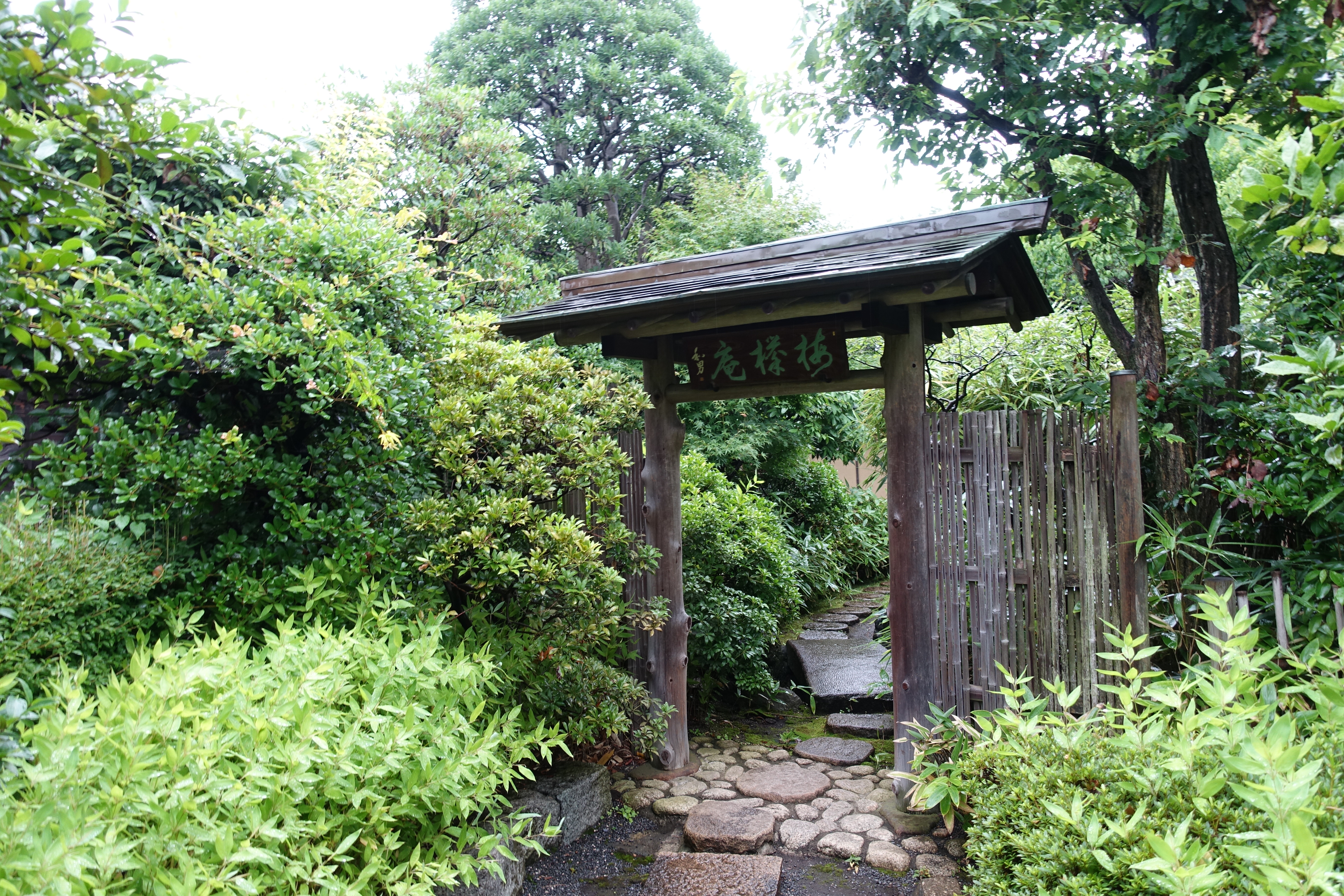 DSC02176