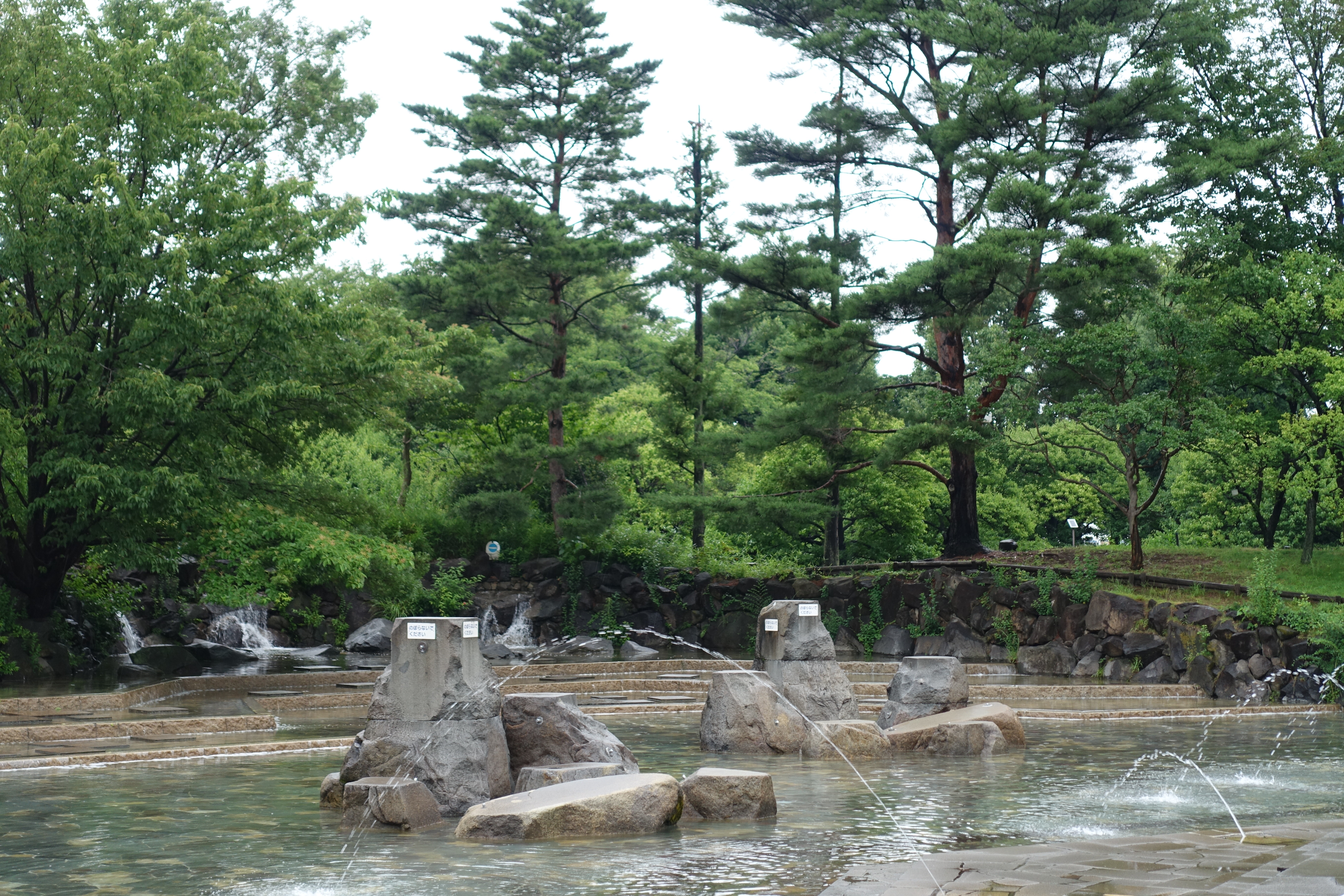 DSC02185