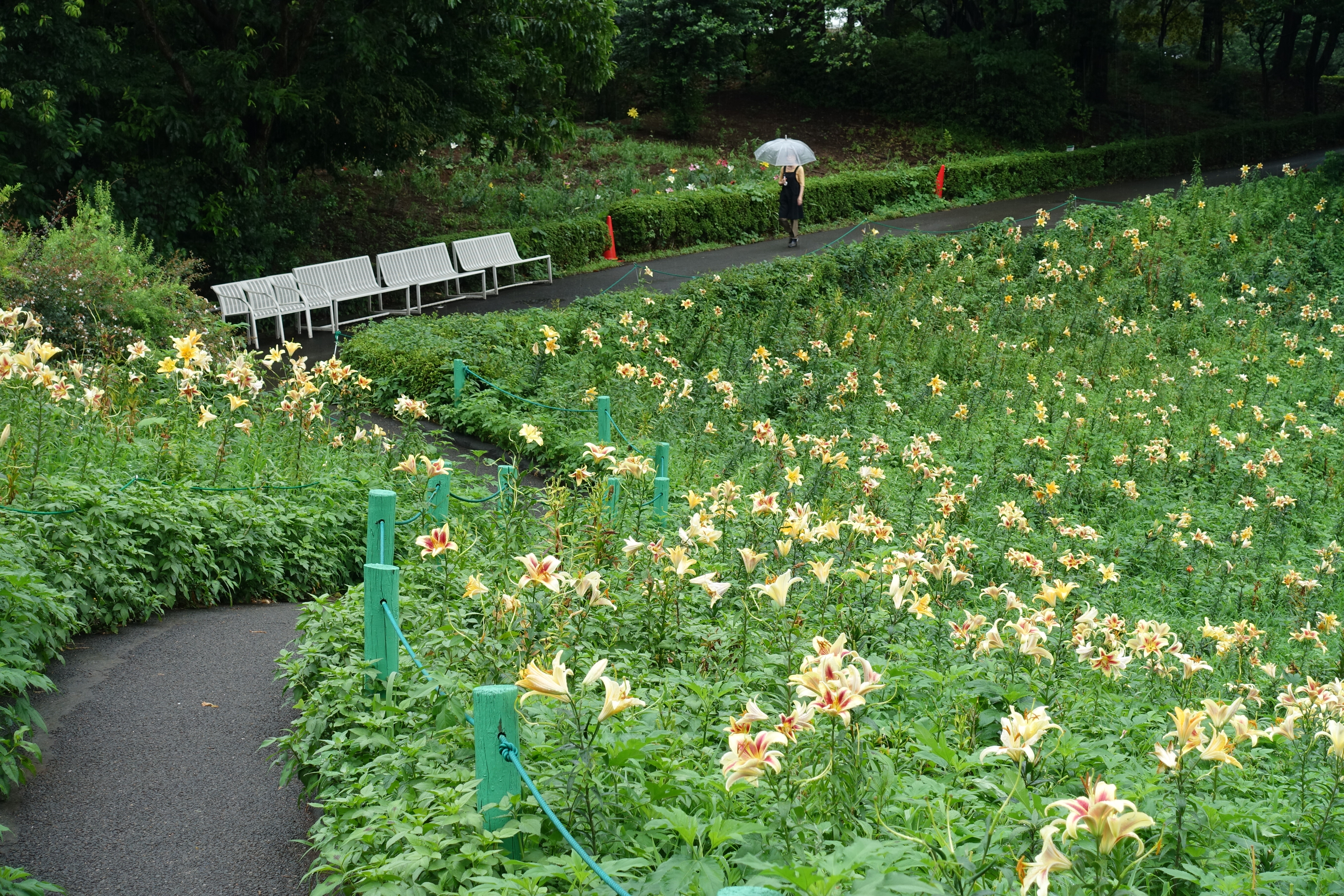 DSC01975