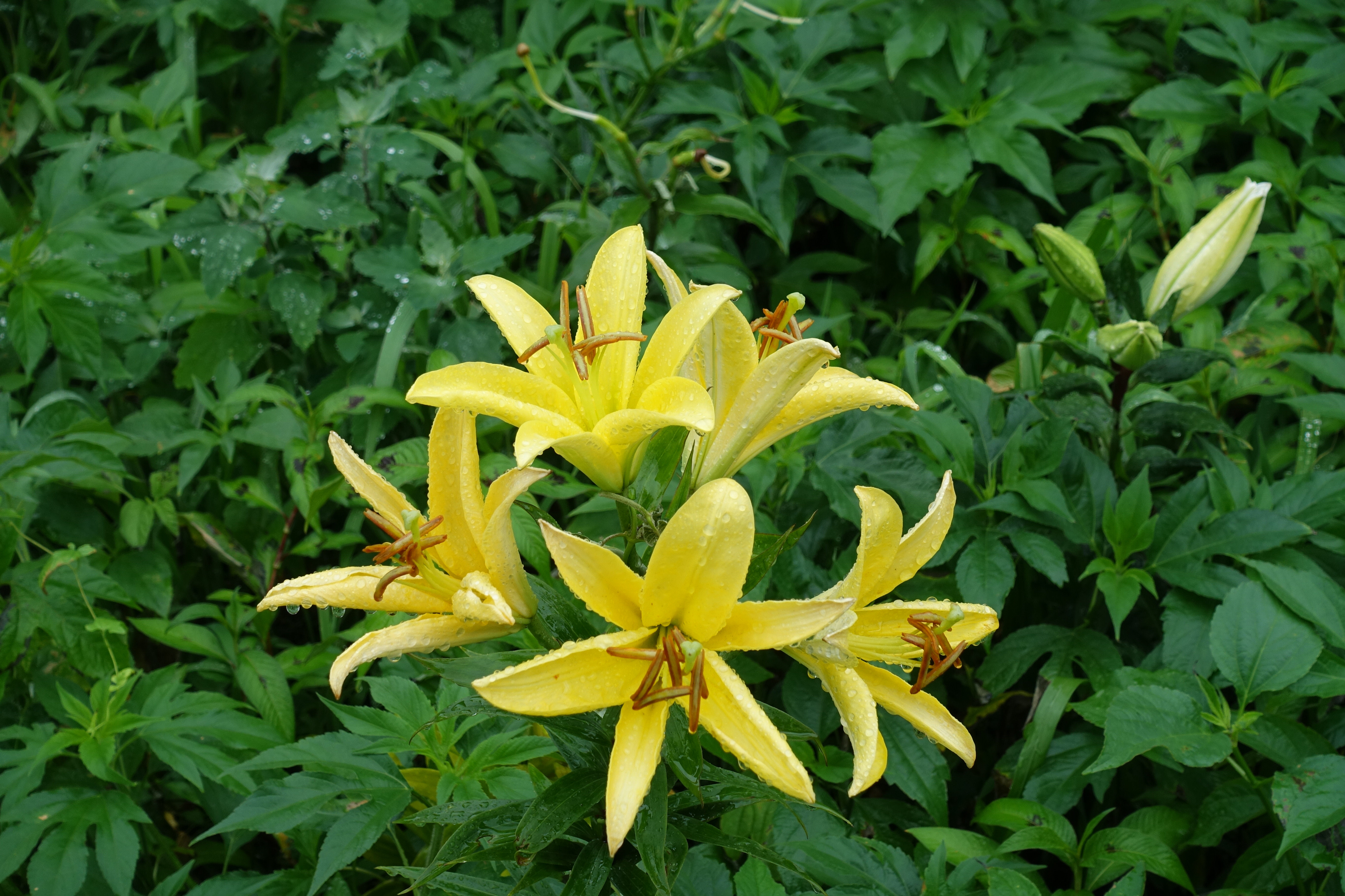 DSC02002