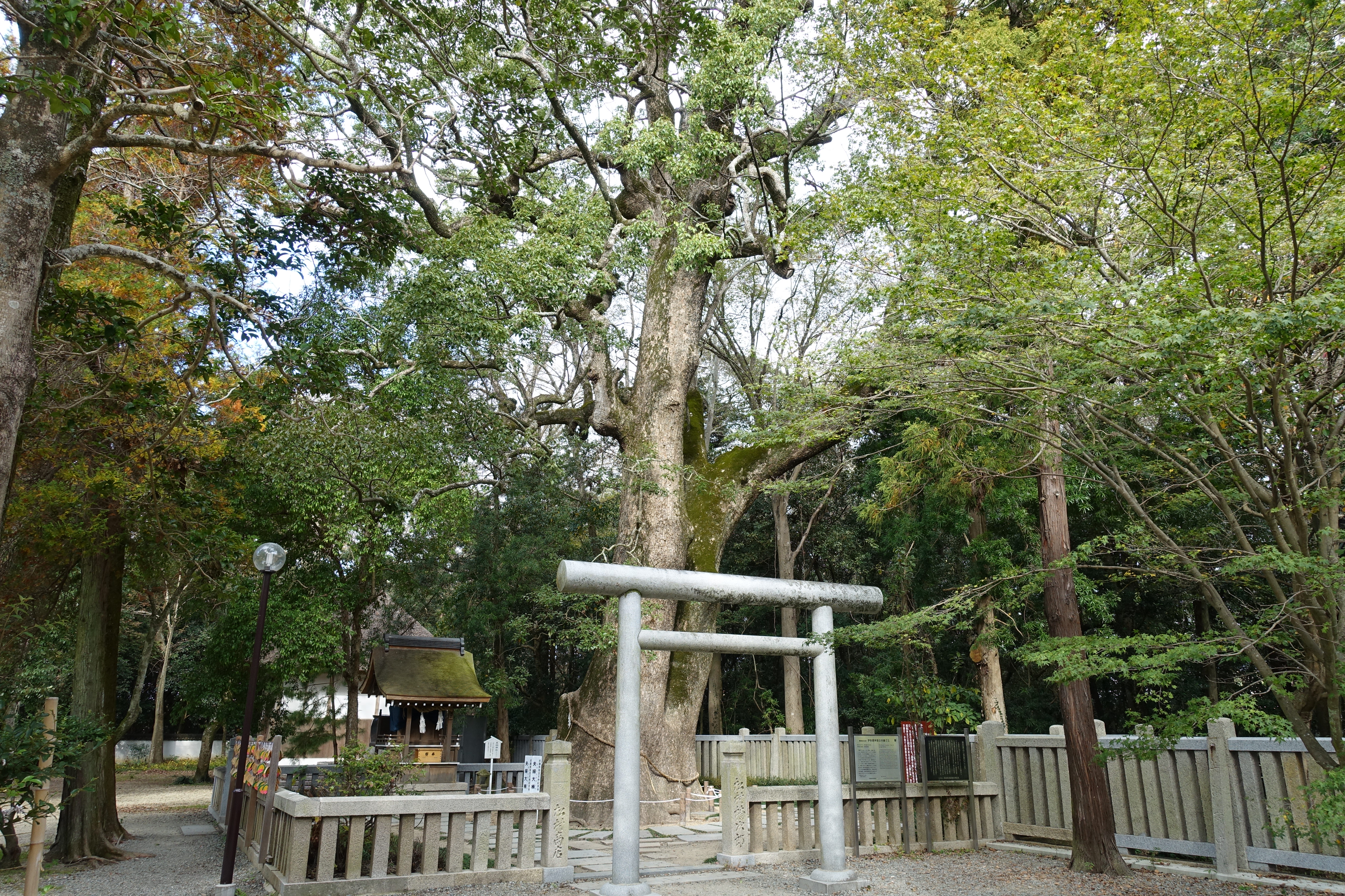 DSC03857
