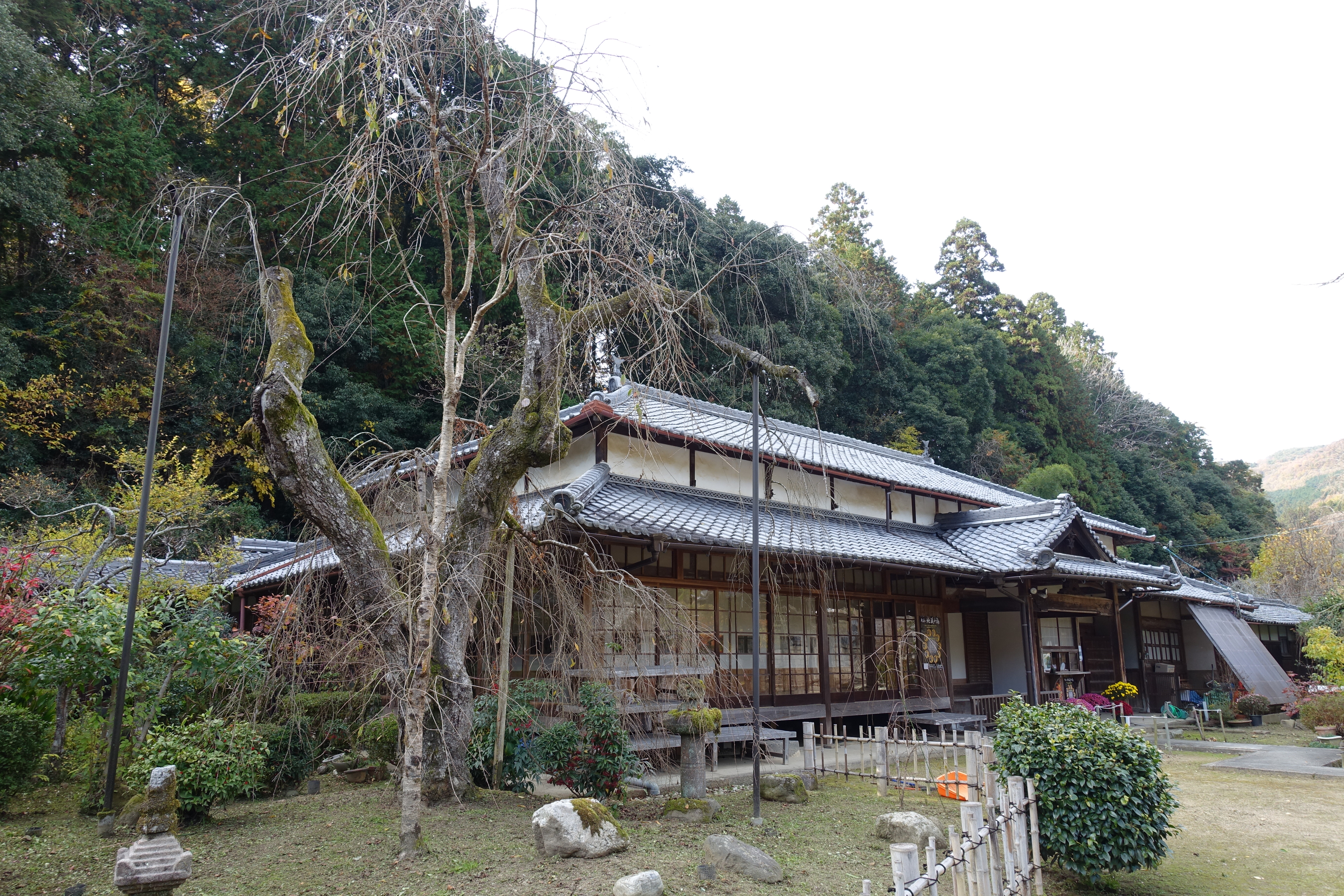 dsc04377