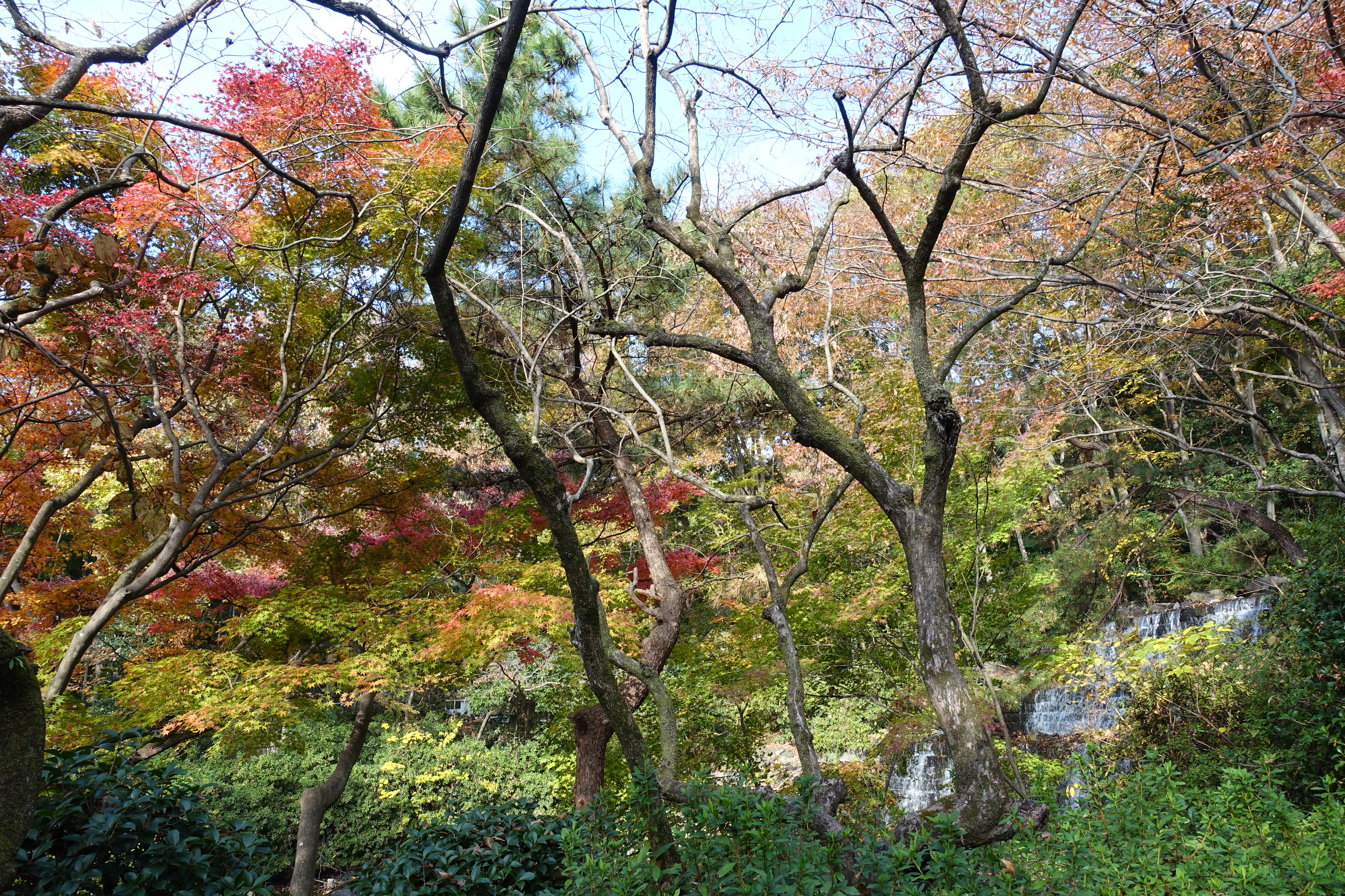 DSC03350