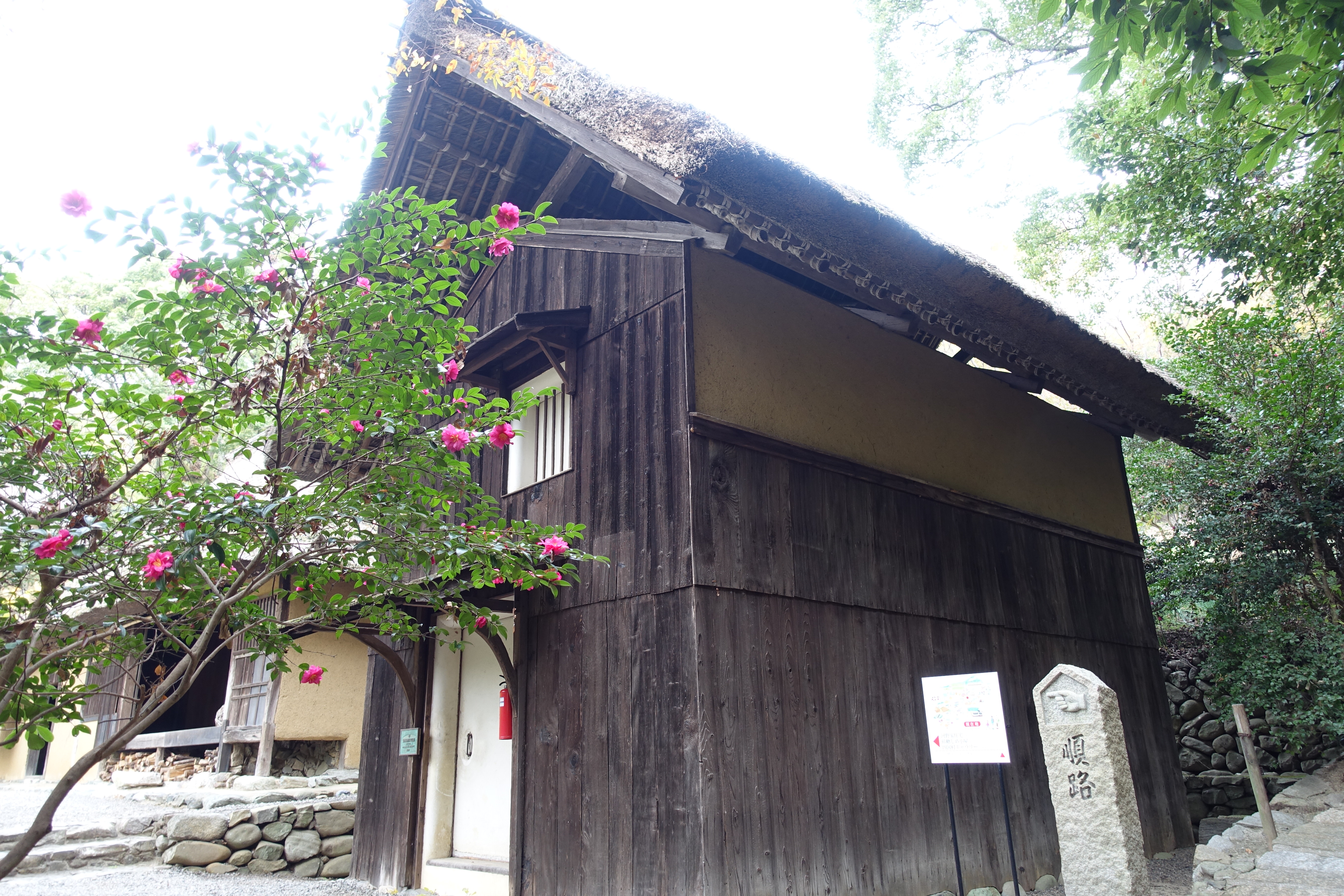 DSC03260
