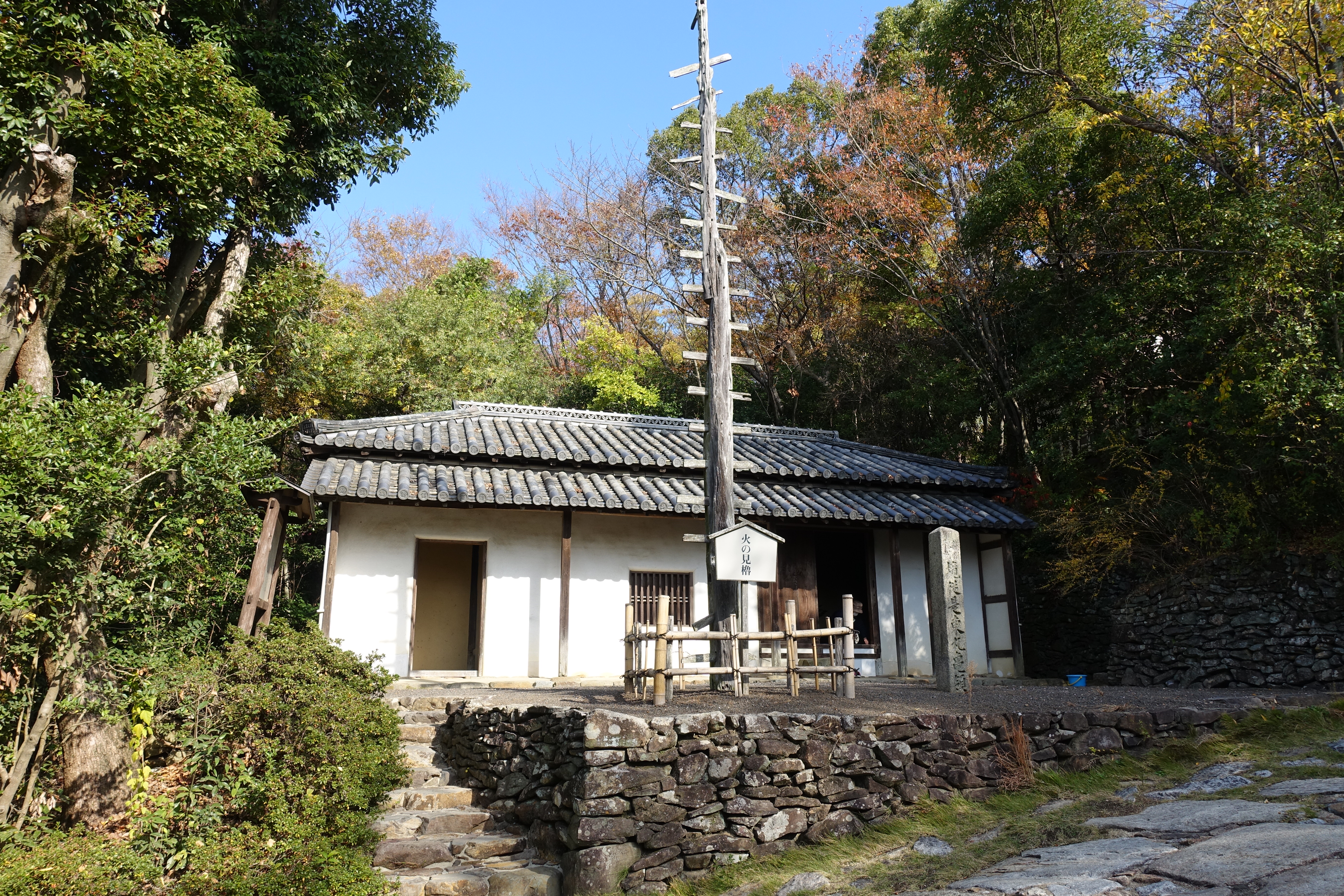 DSC03421