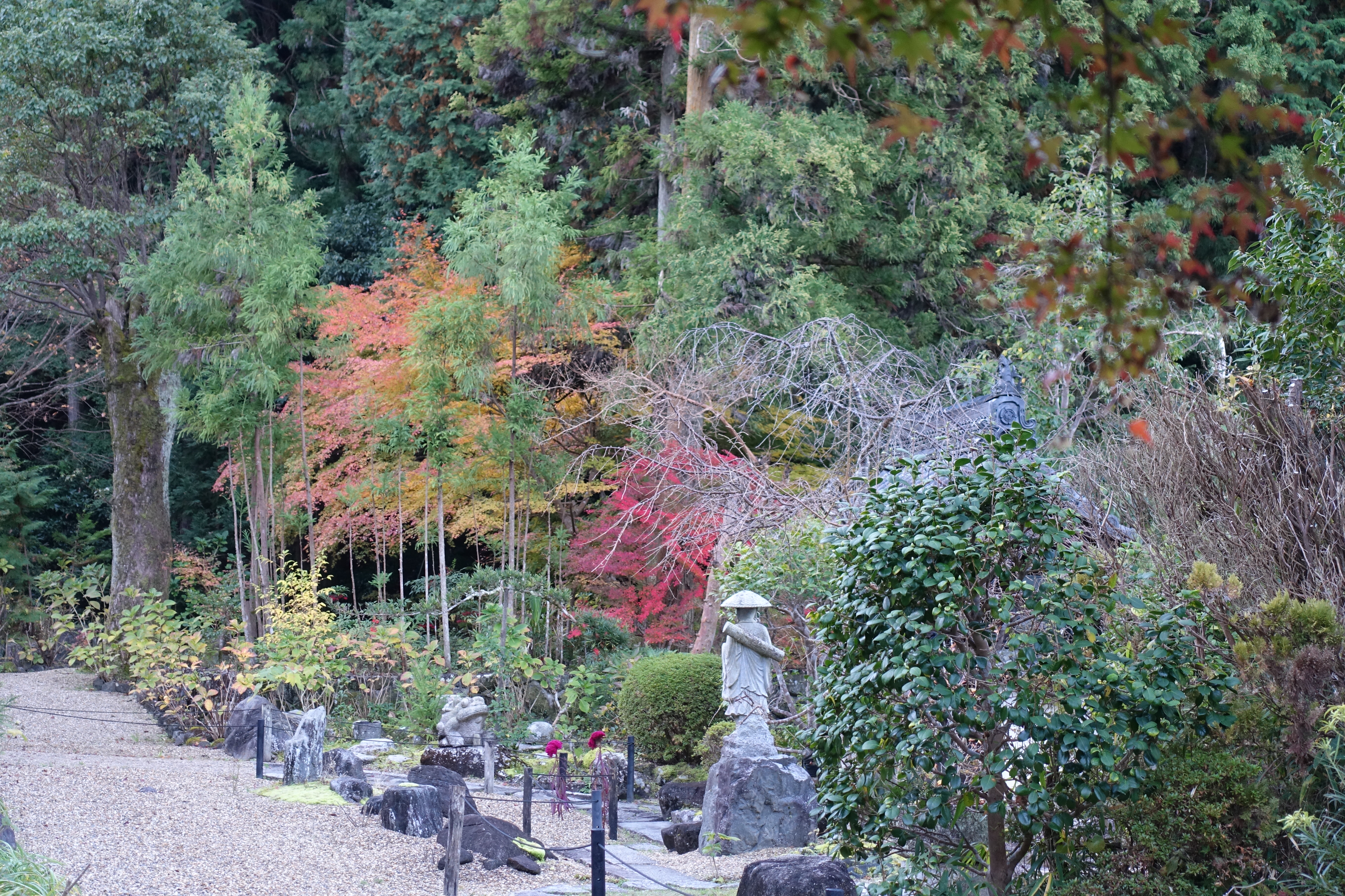 DSC04066