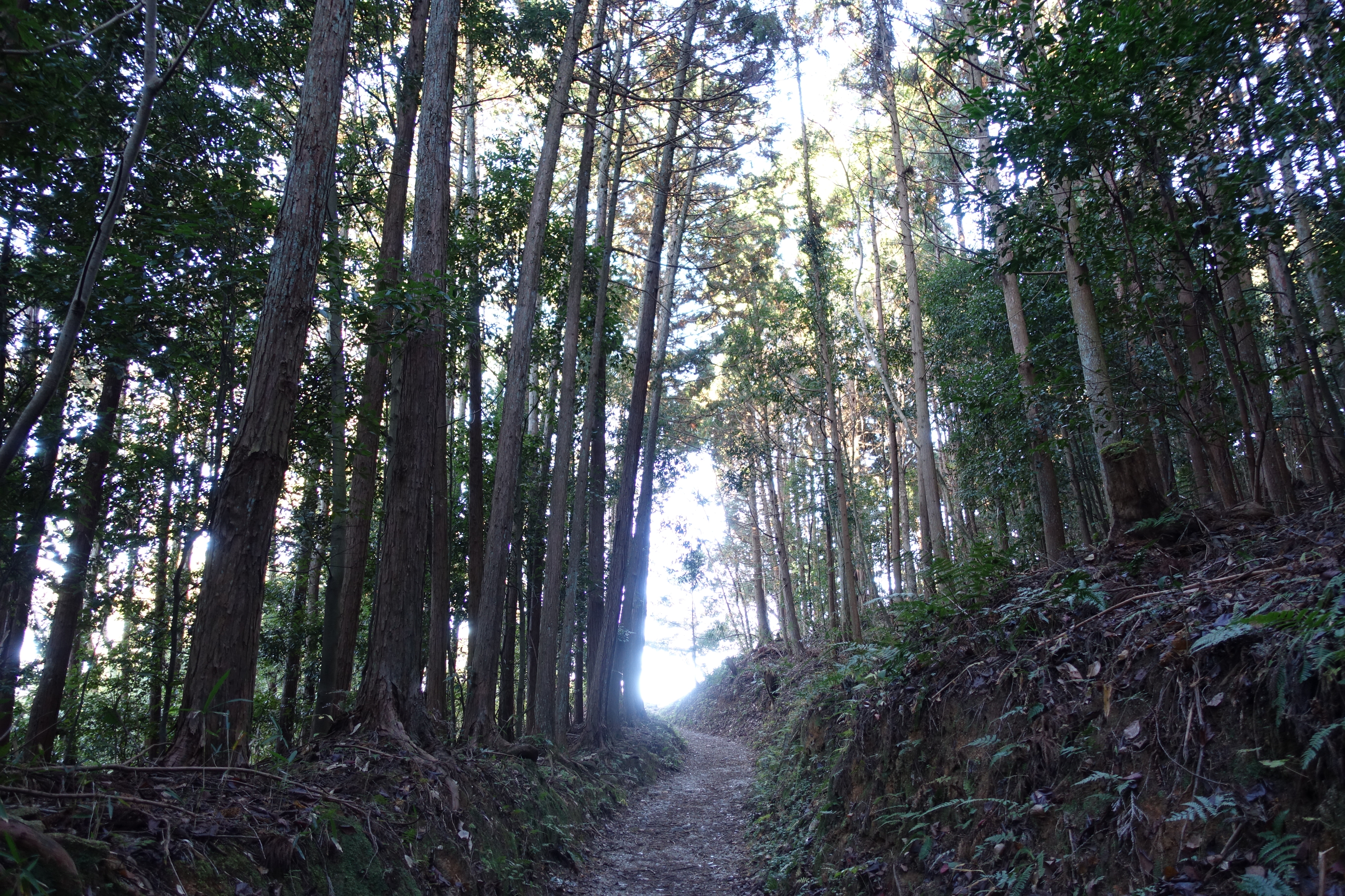 DSC04067