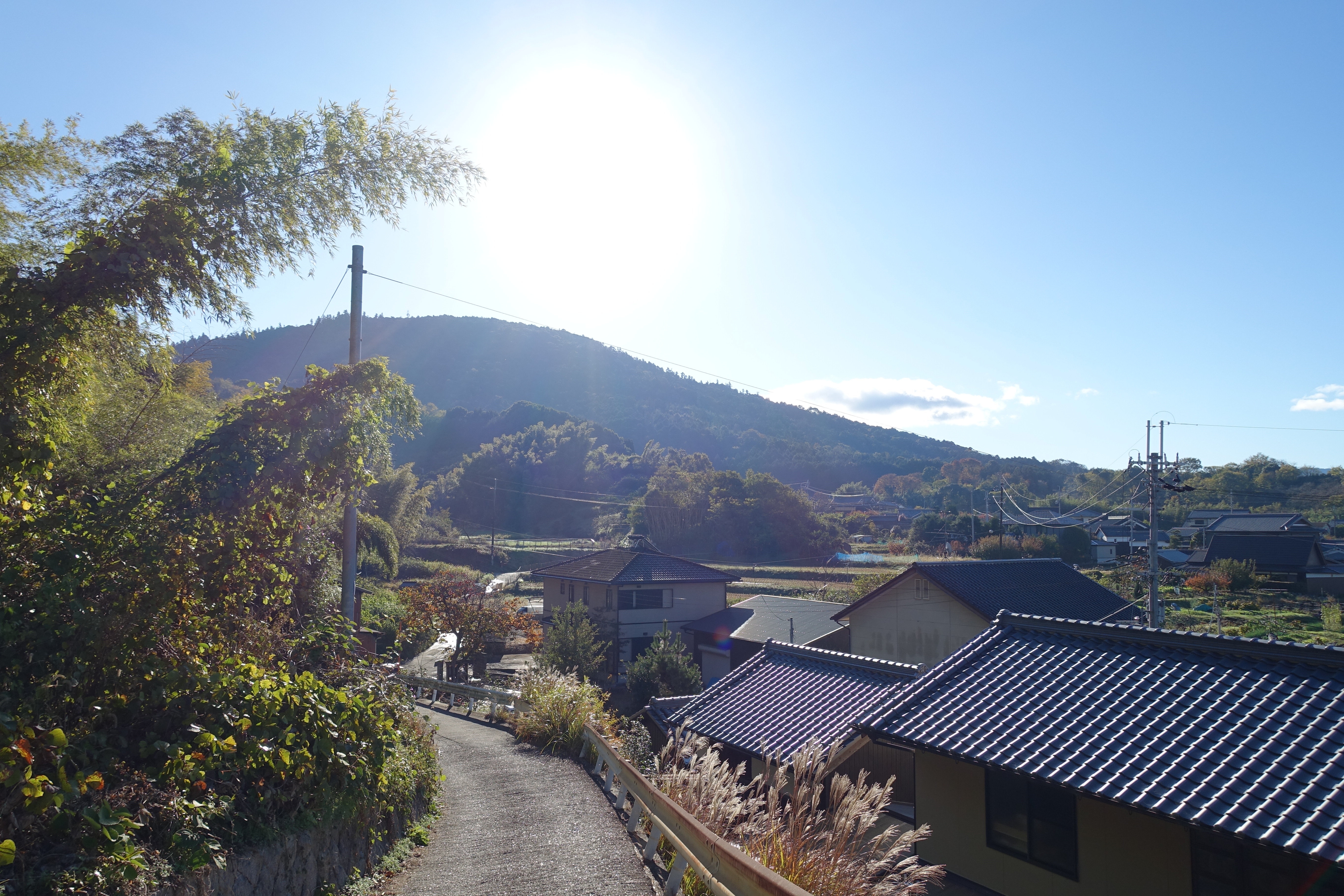 DSC04084