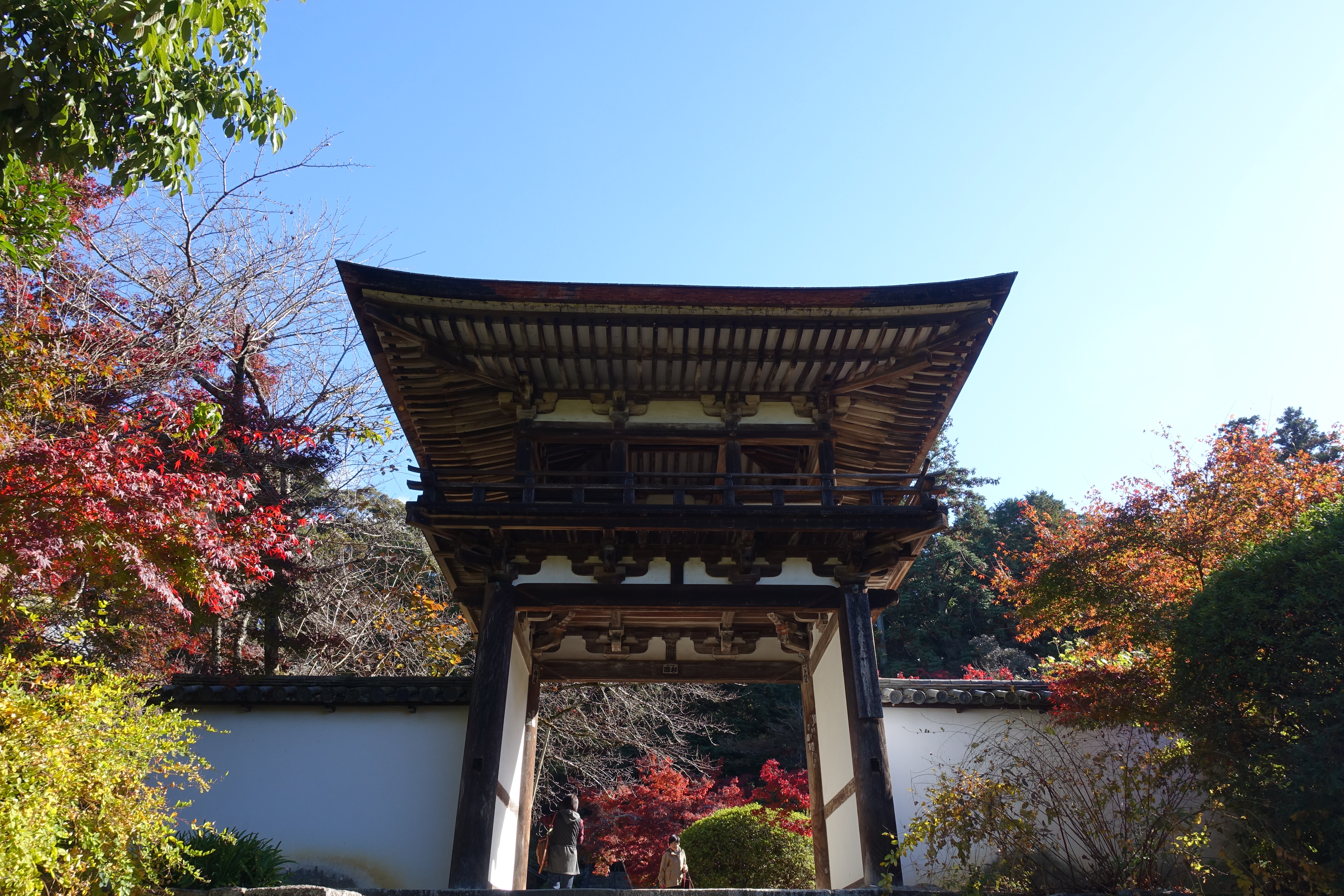 DSC04127