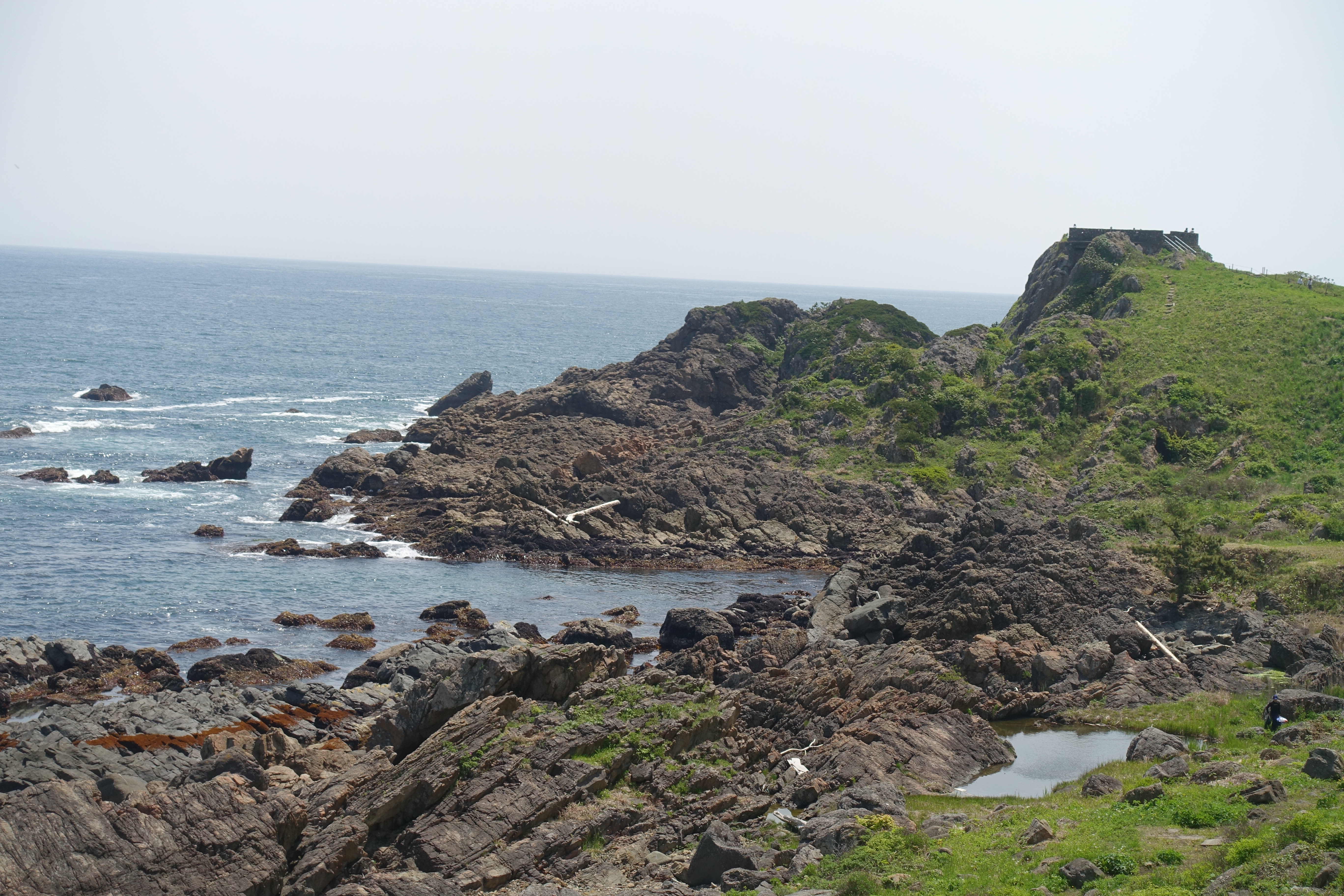 DSC05377
