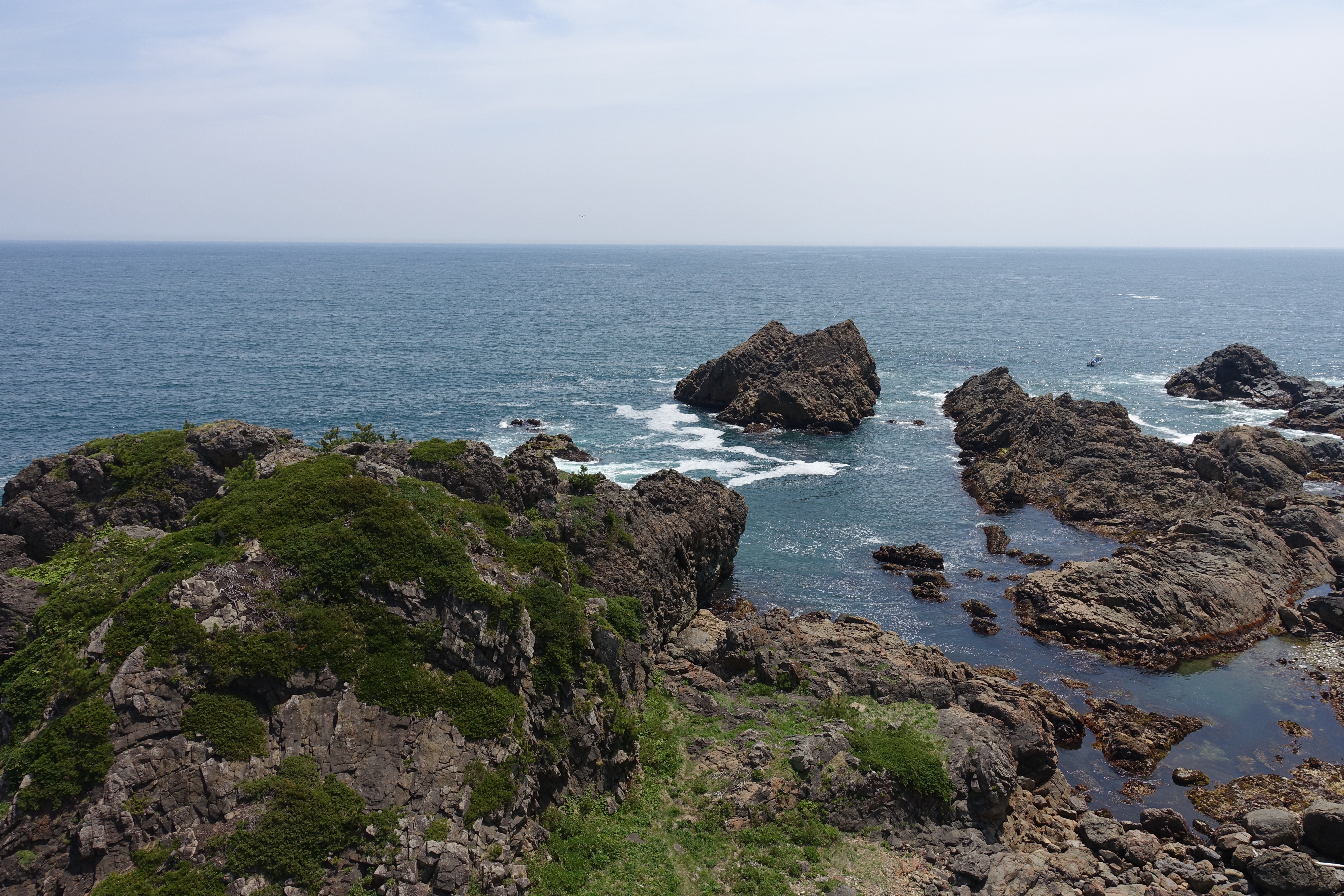 DSC05398