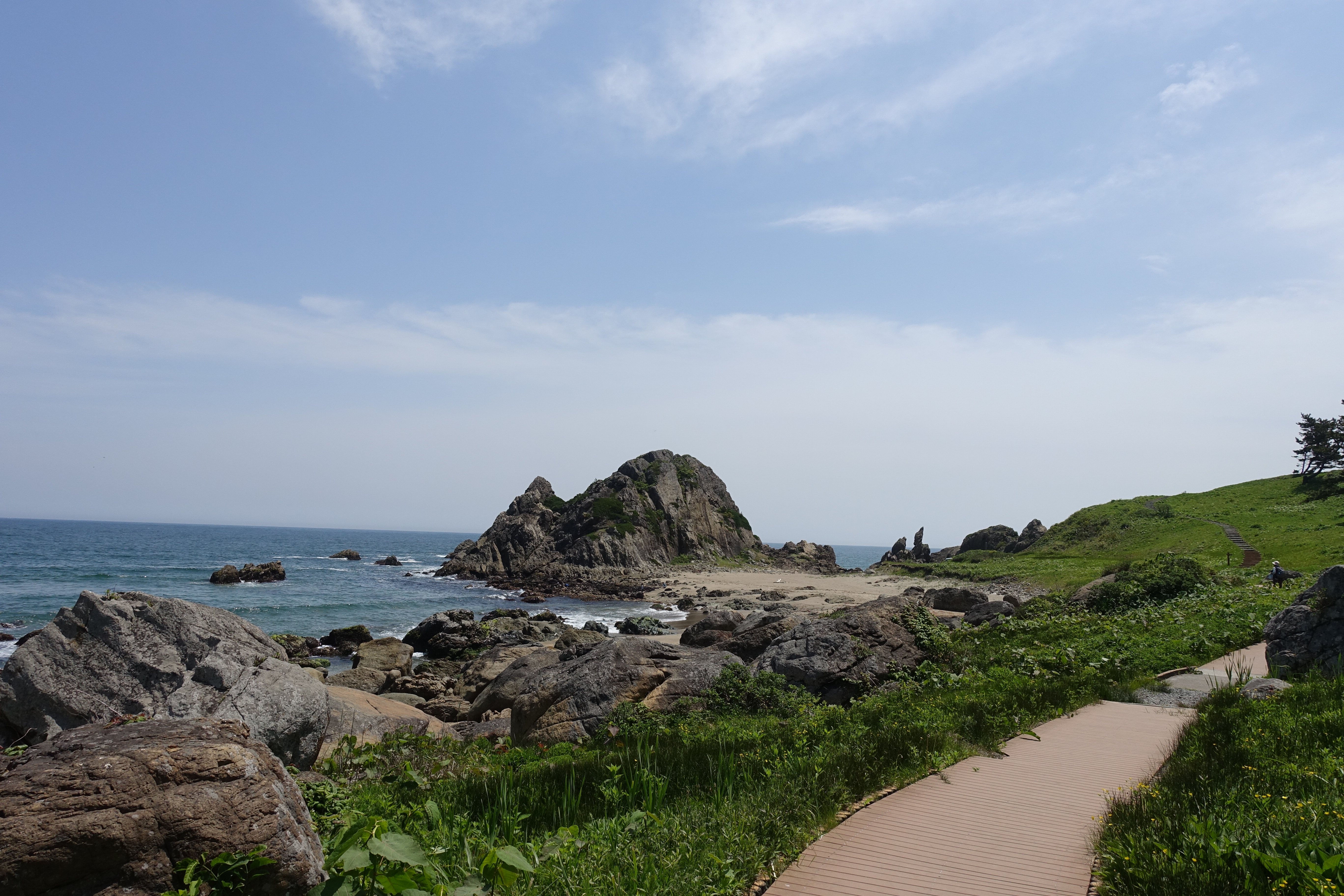 DSC05446