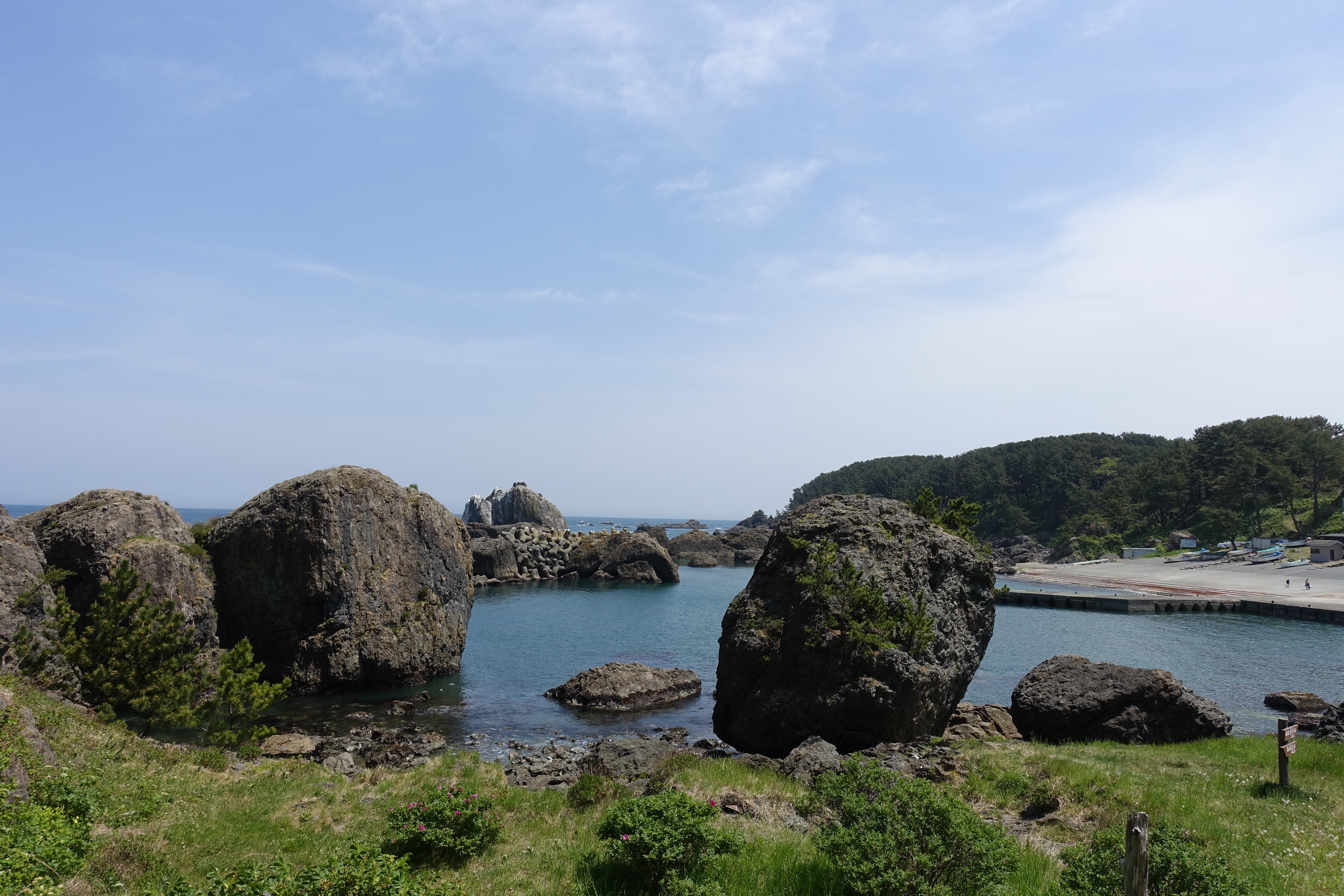 DSC05531