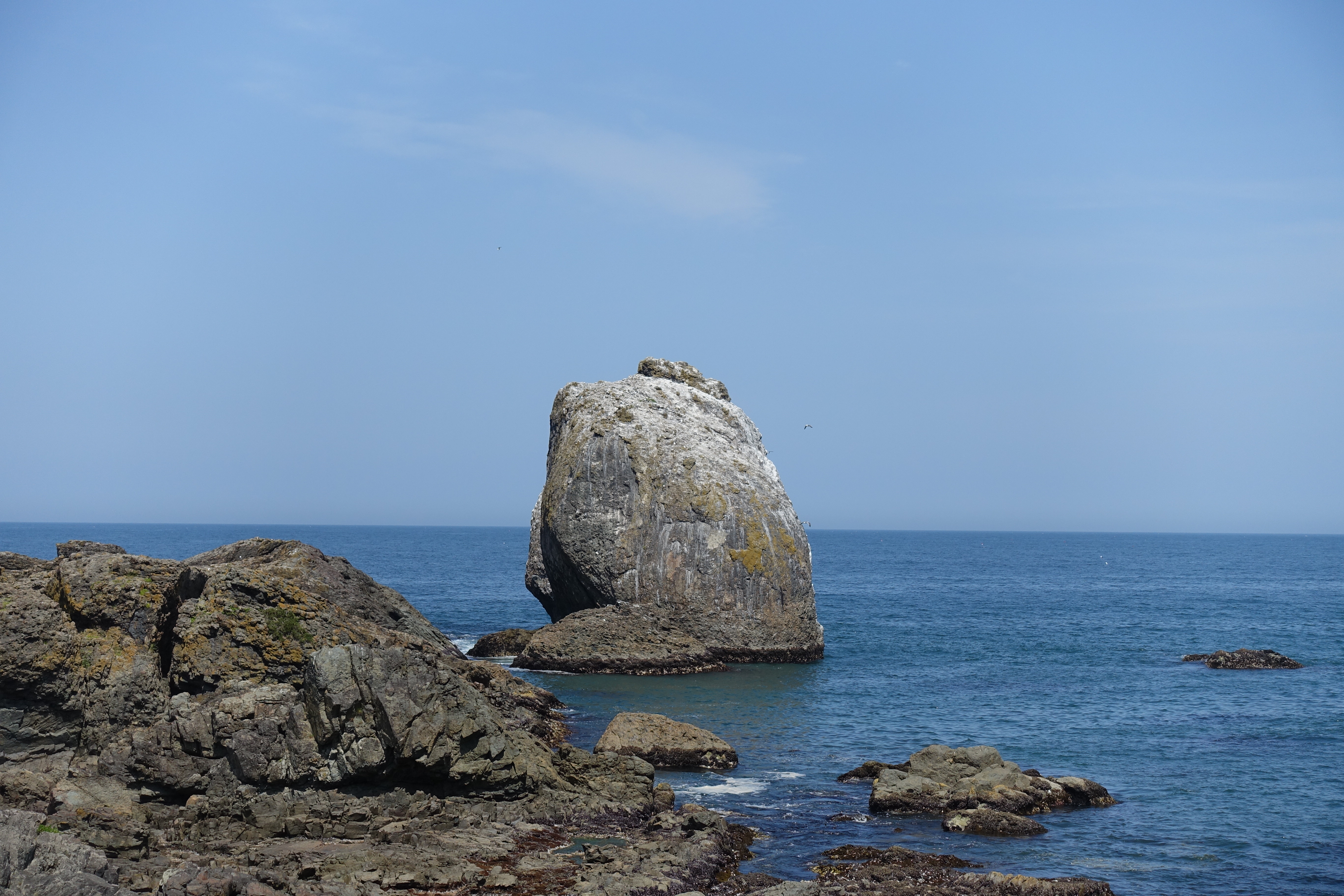 DSC05546