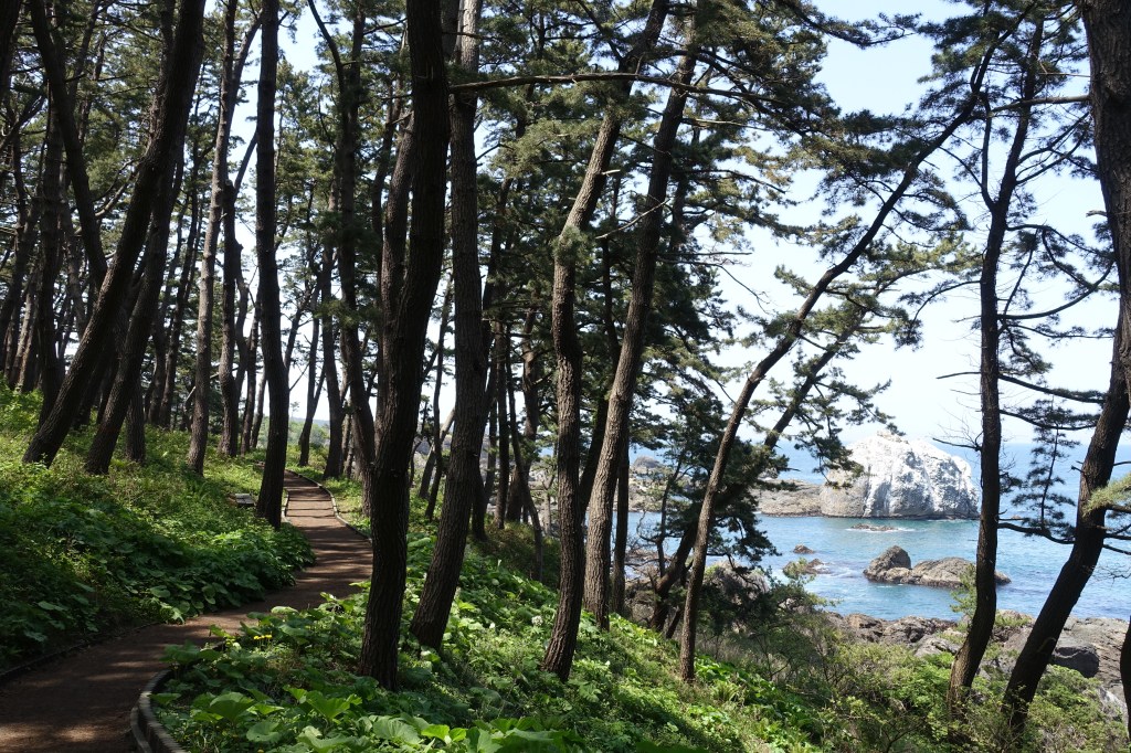 Michinoku Coastal Trail: Hachinohe Section (Final&nbsp;Part)