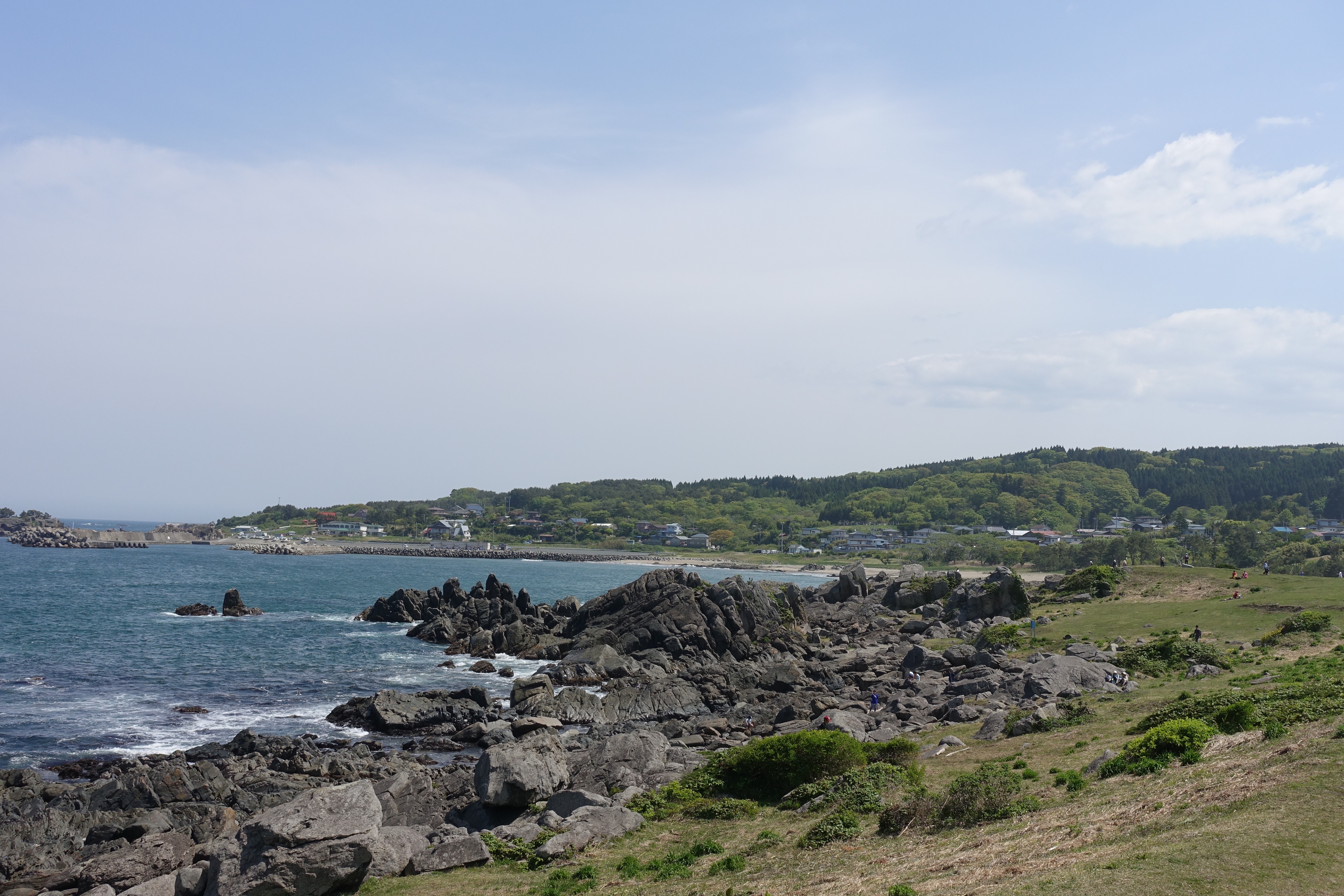 DSC05619