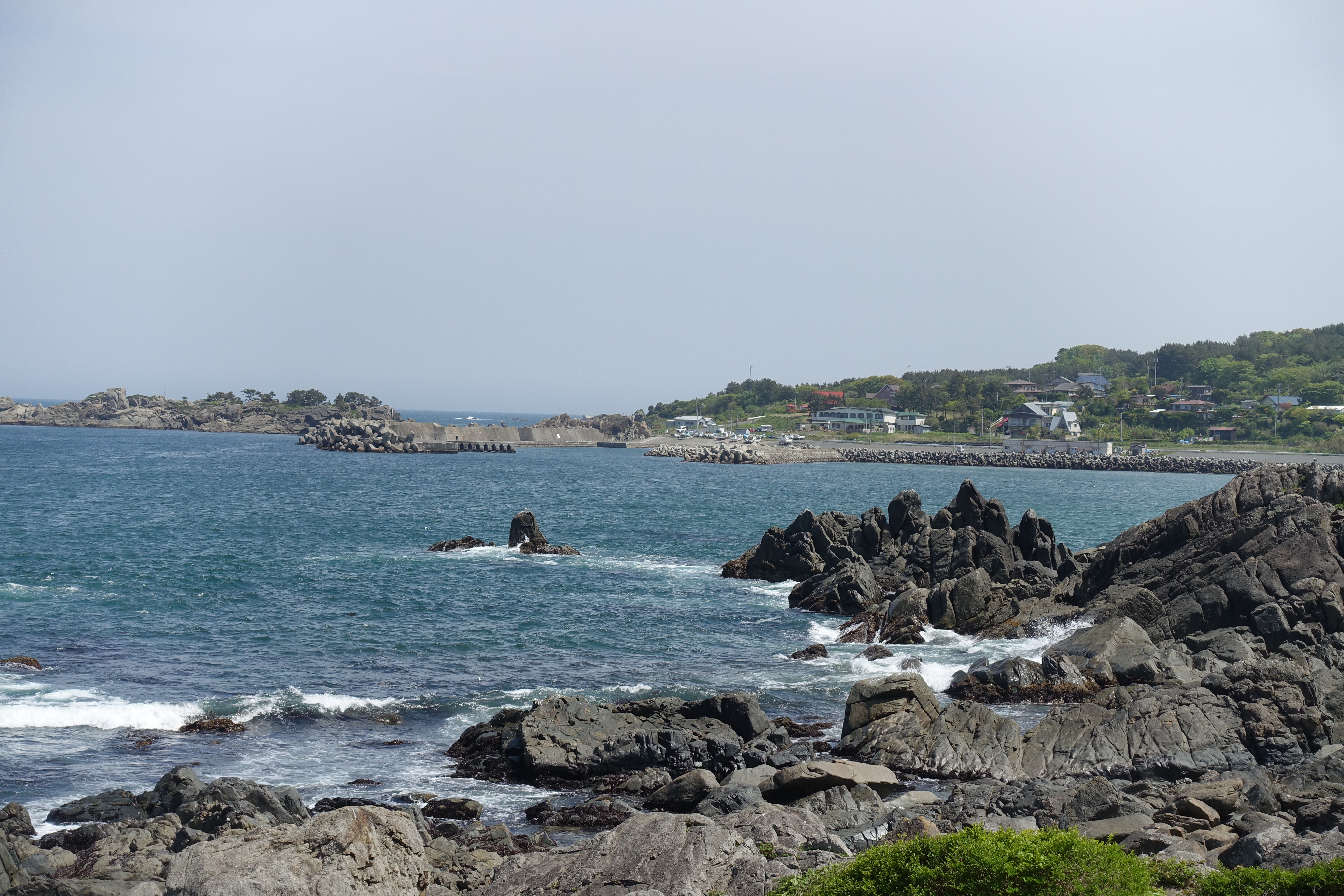 DSC05623